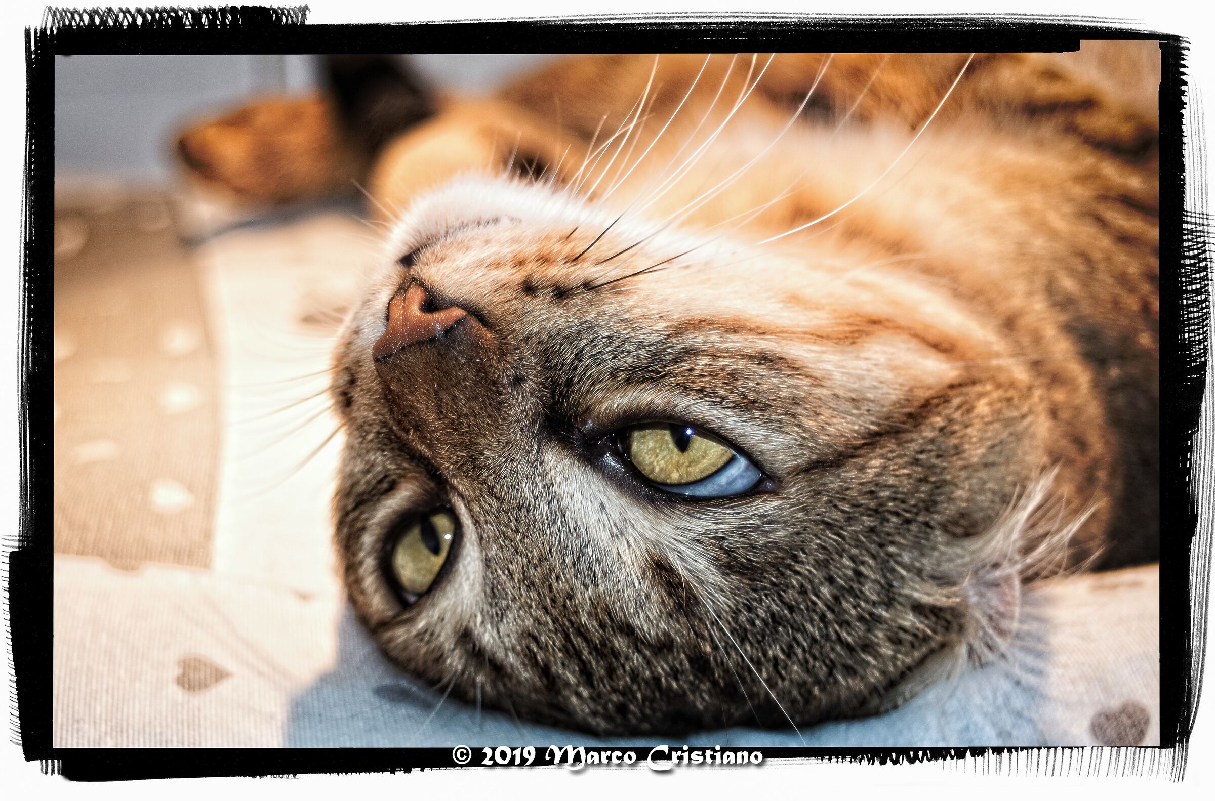 Saturday in relaxation.