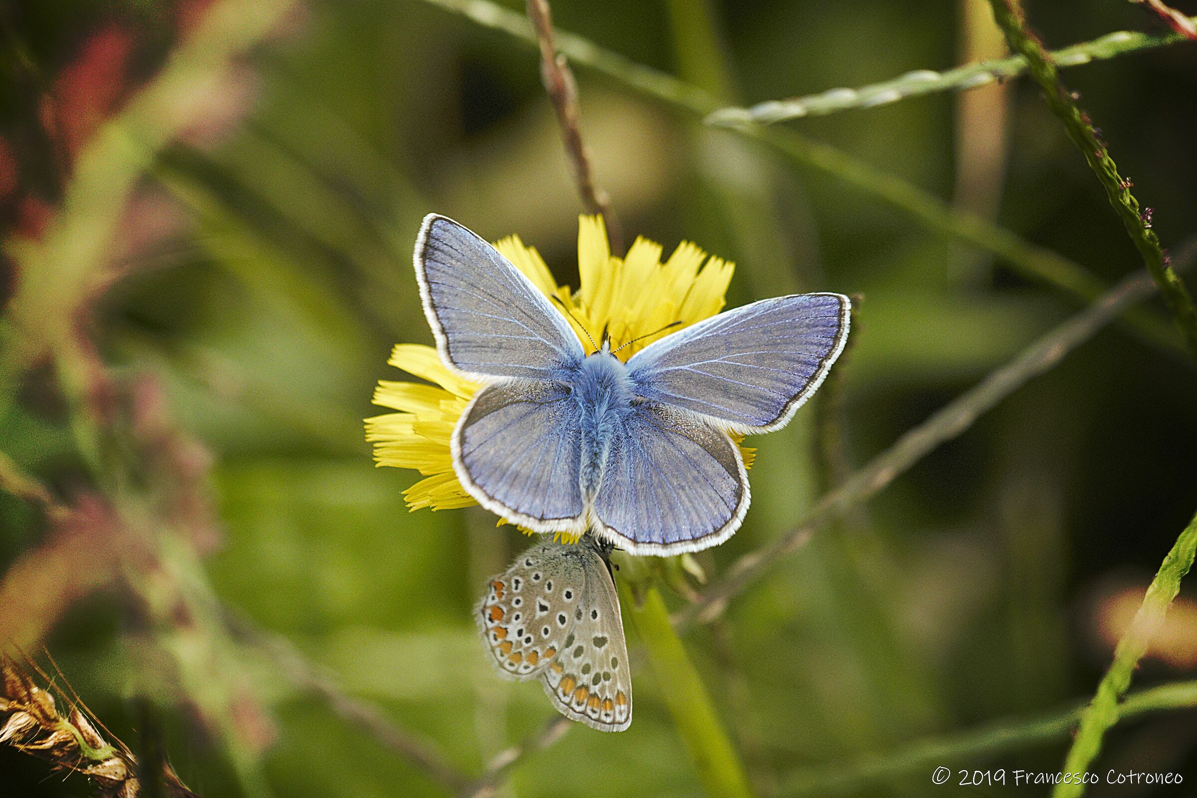 Riunione di condominio... :)