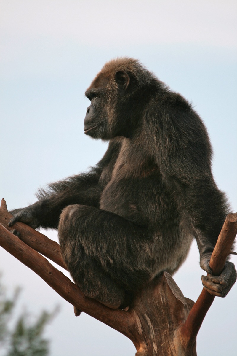 Sguardo all'orizzonte