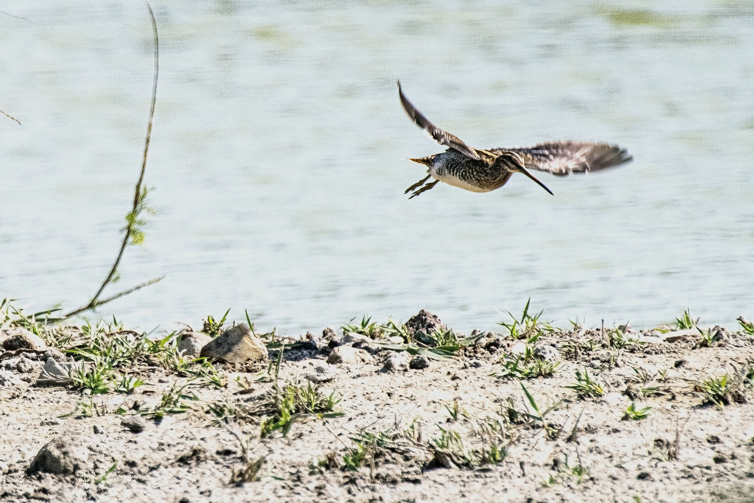 Lo stacco del Beccaccino