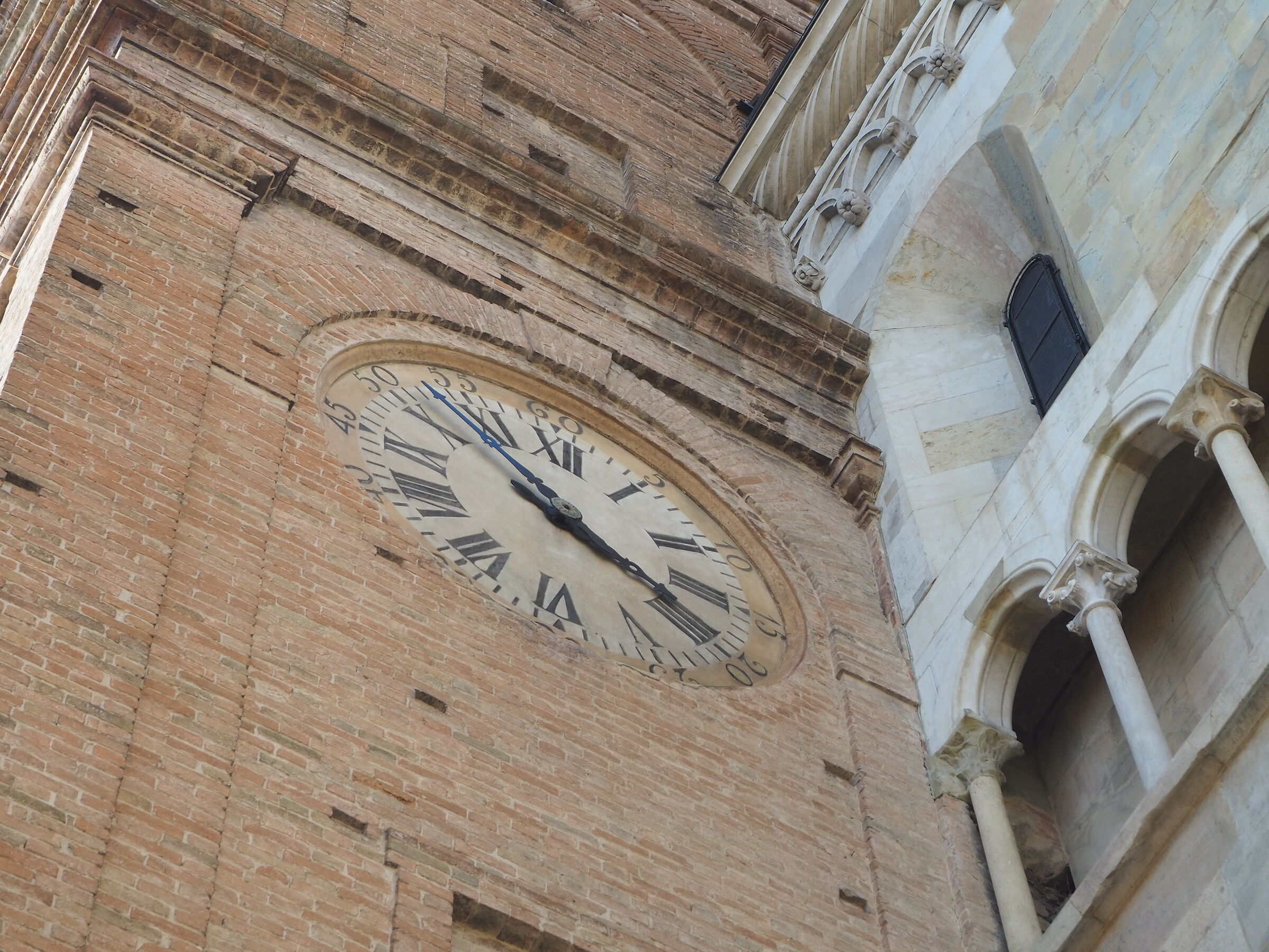 trustiness the cathedral