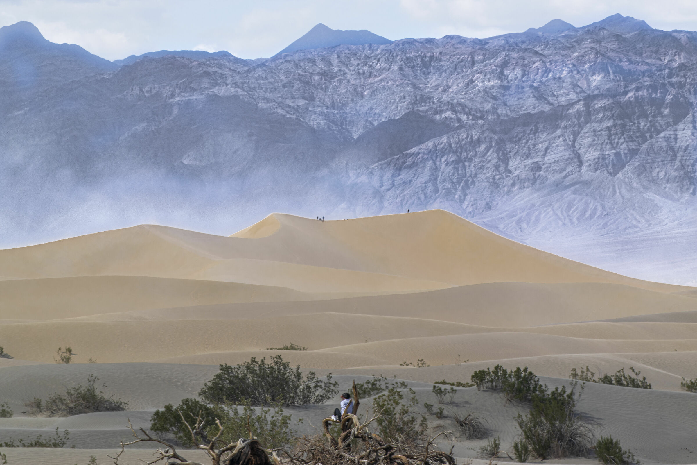 Death Valley Mesquite Sand Dunes