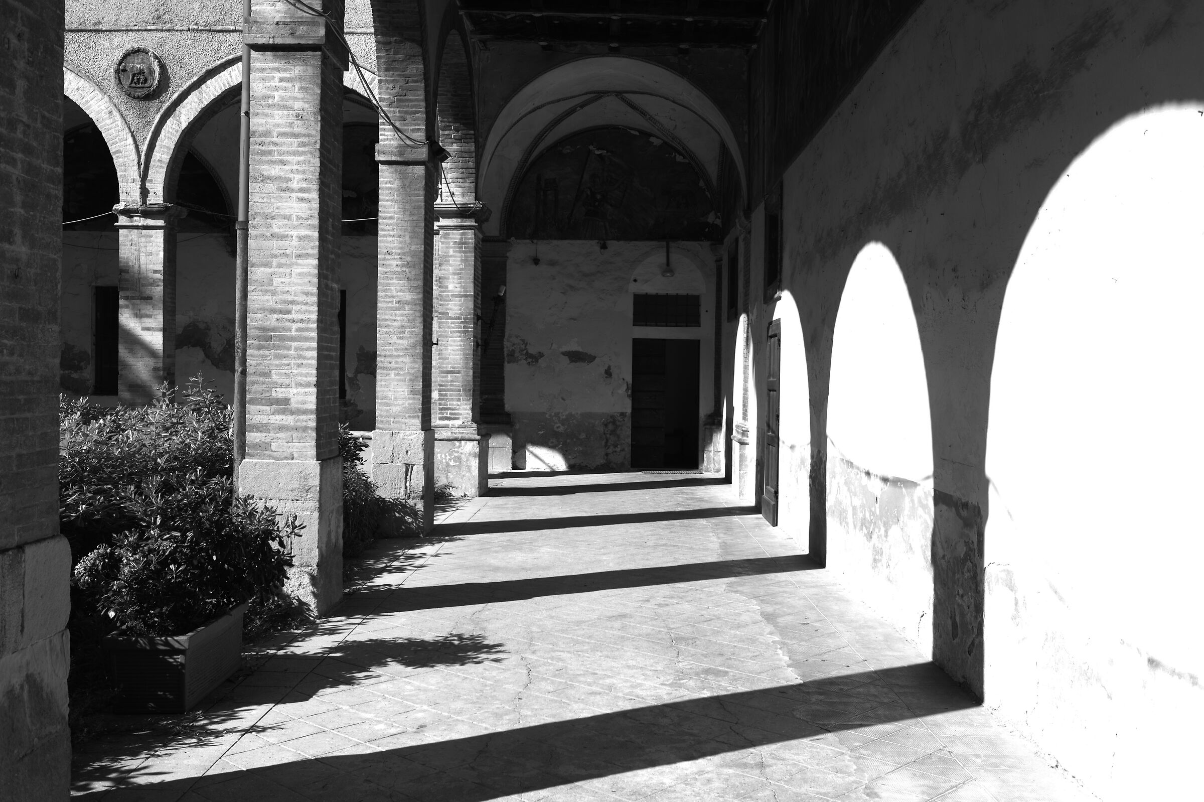Pesaro 2019: chiostro chiesa di San Francesco