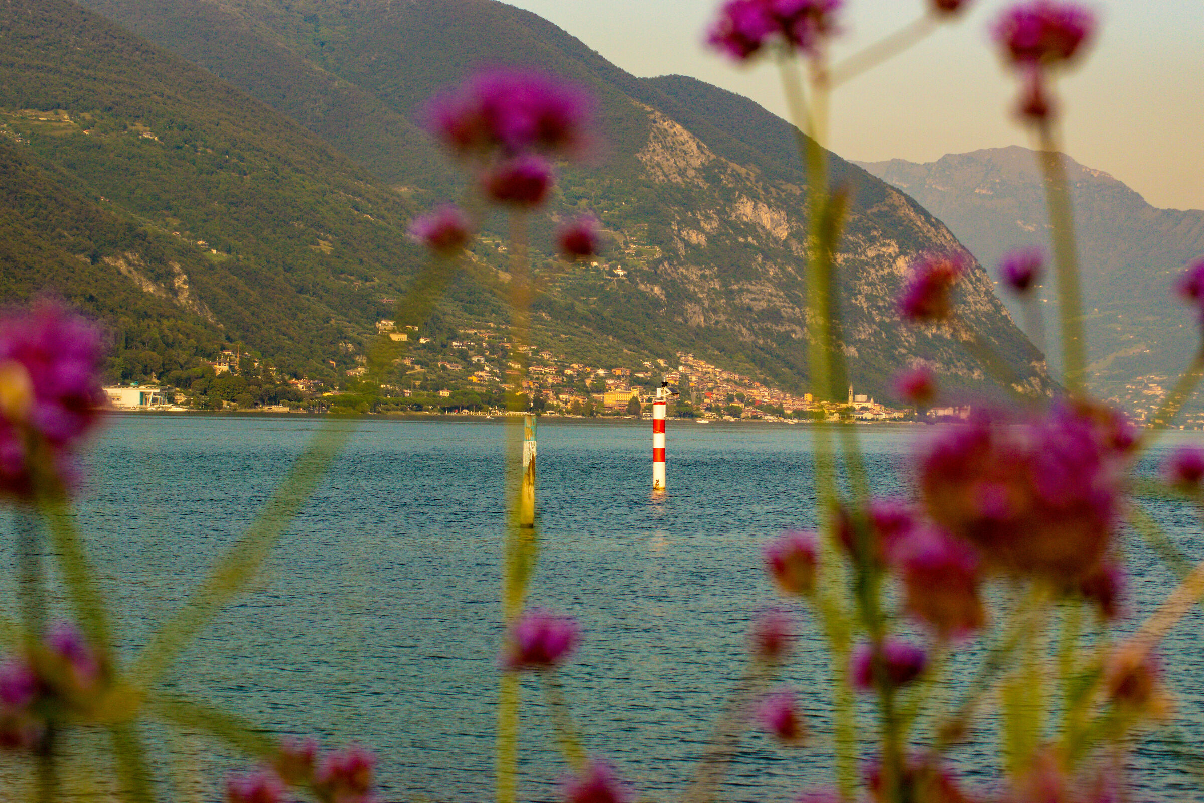 colours...