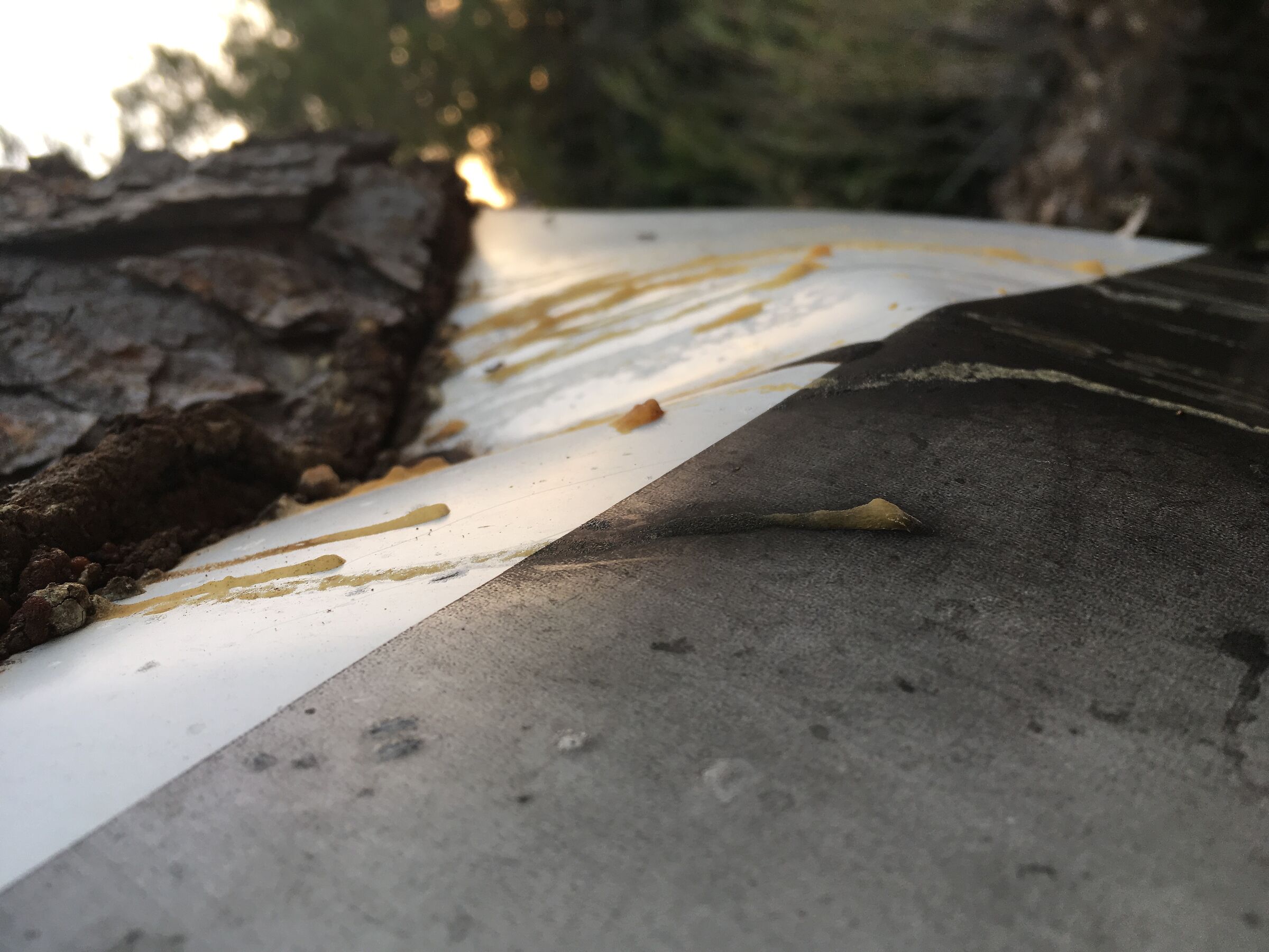 The power of nature!!