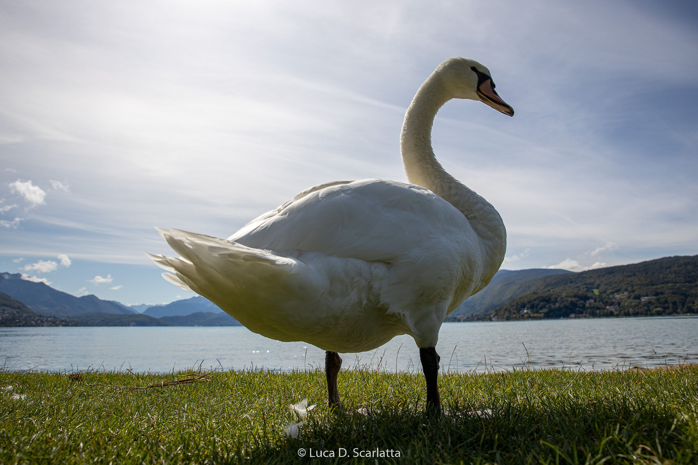 But you do your own business?!