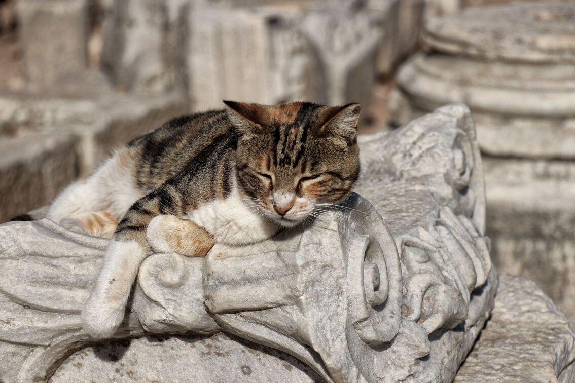 inconsapevole