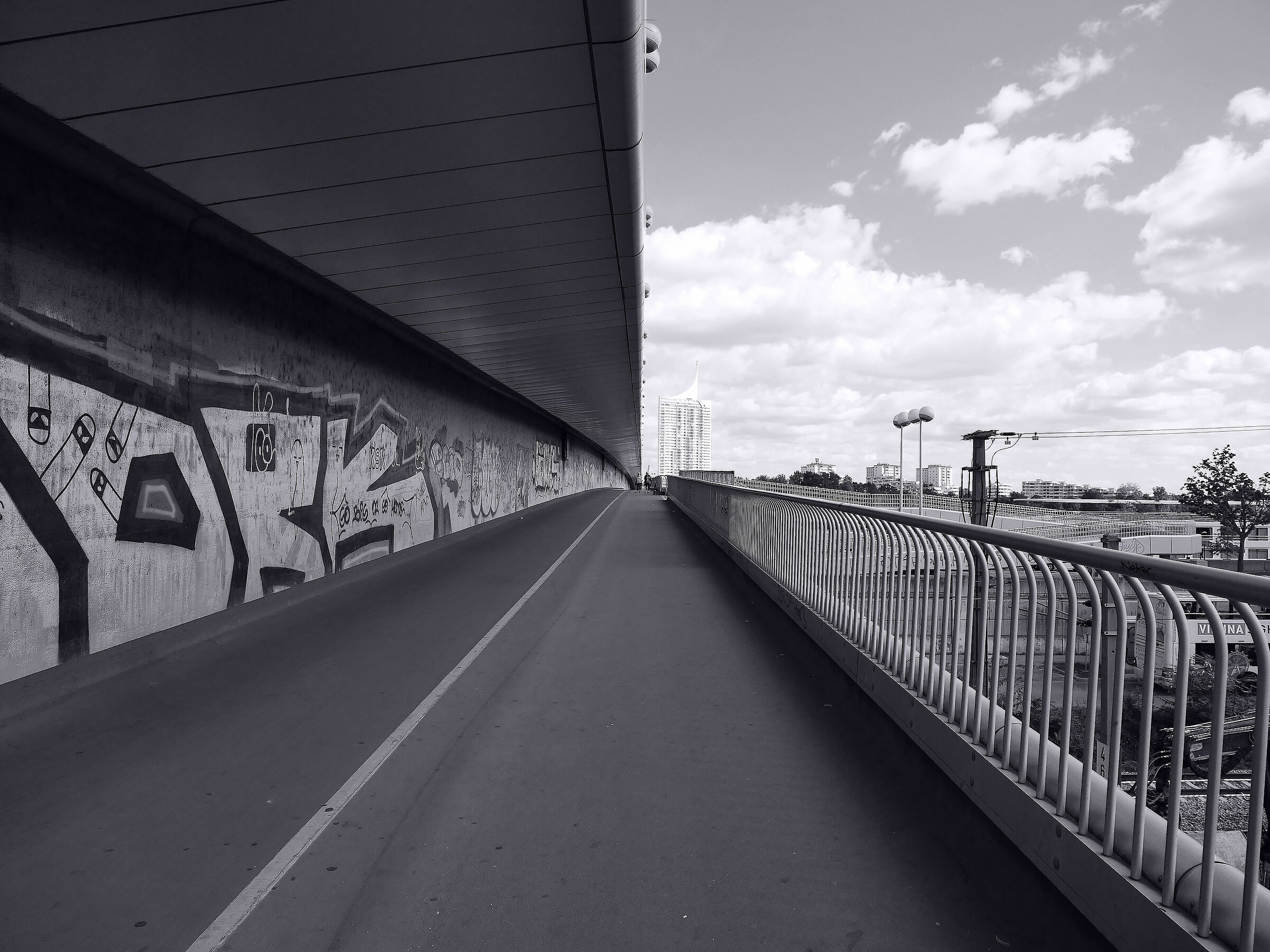 Bridge over the Danube