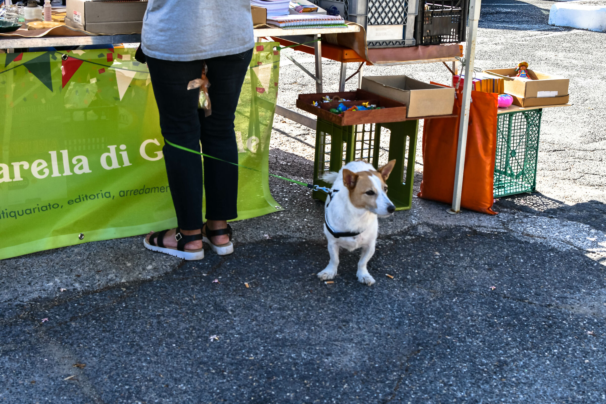 Visitor Capannelle AntiqueS Market