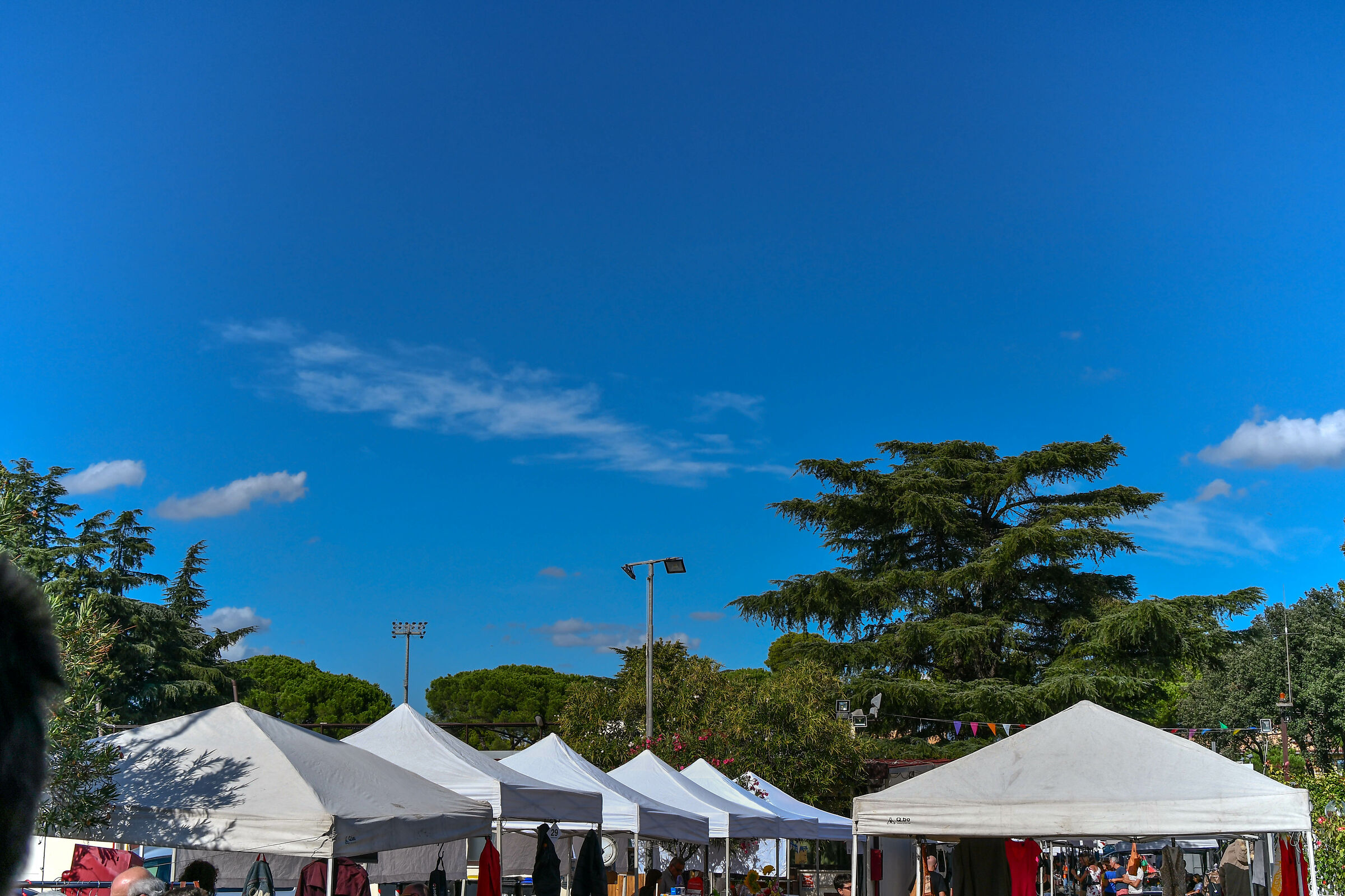 Capannelle Antiques Market