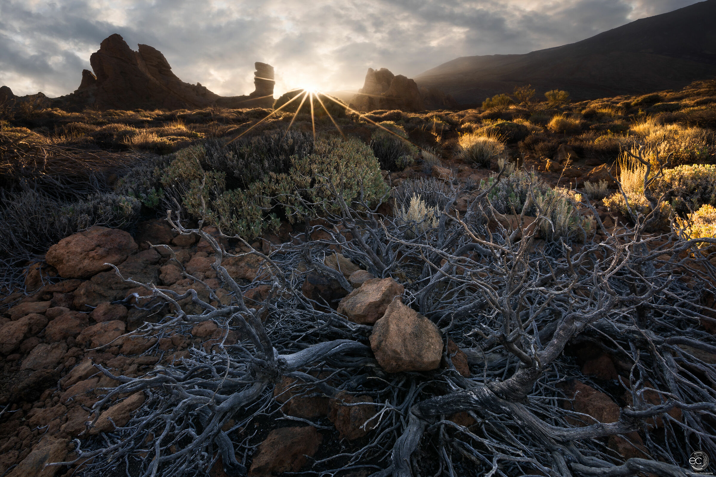 Loneliness, Loneliness