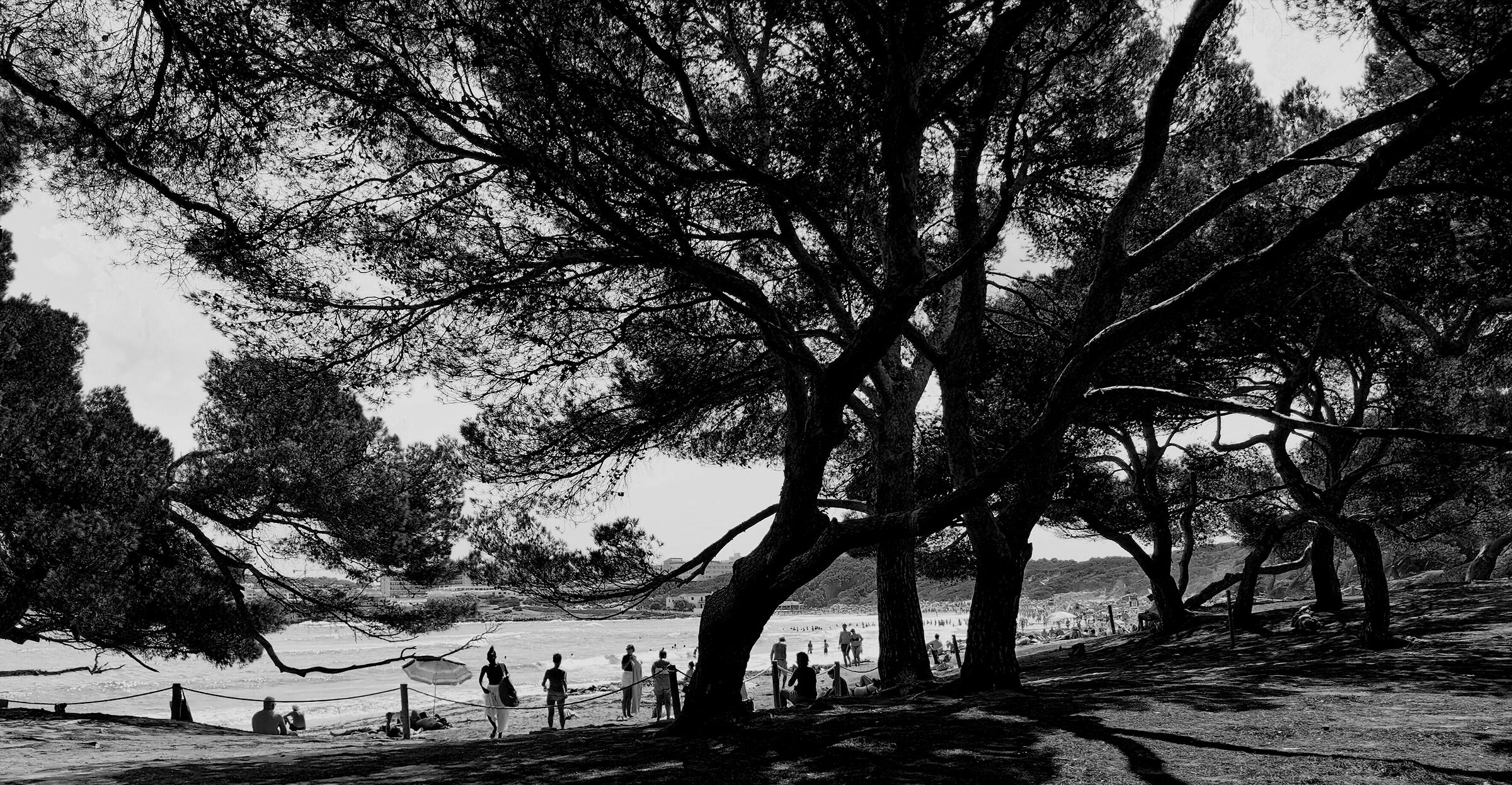 L'estate sta finendo ...