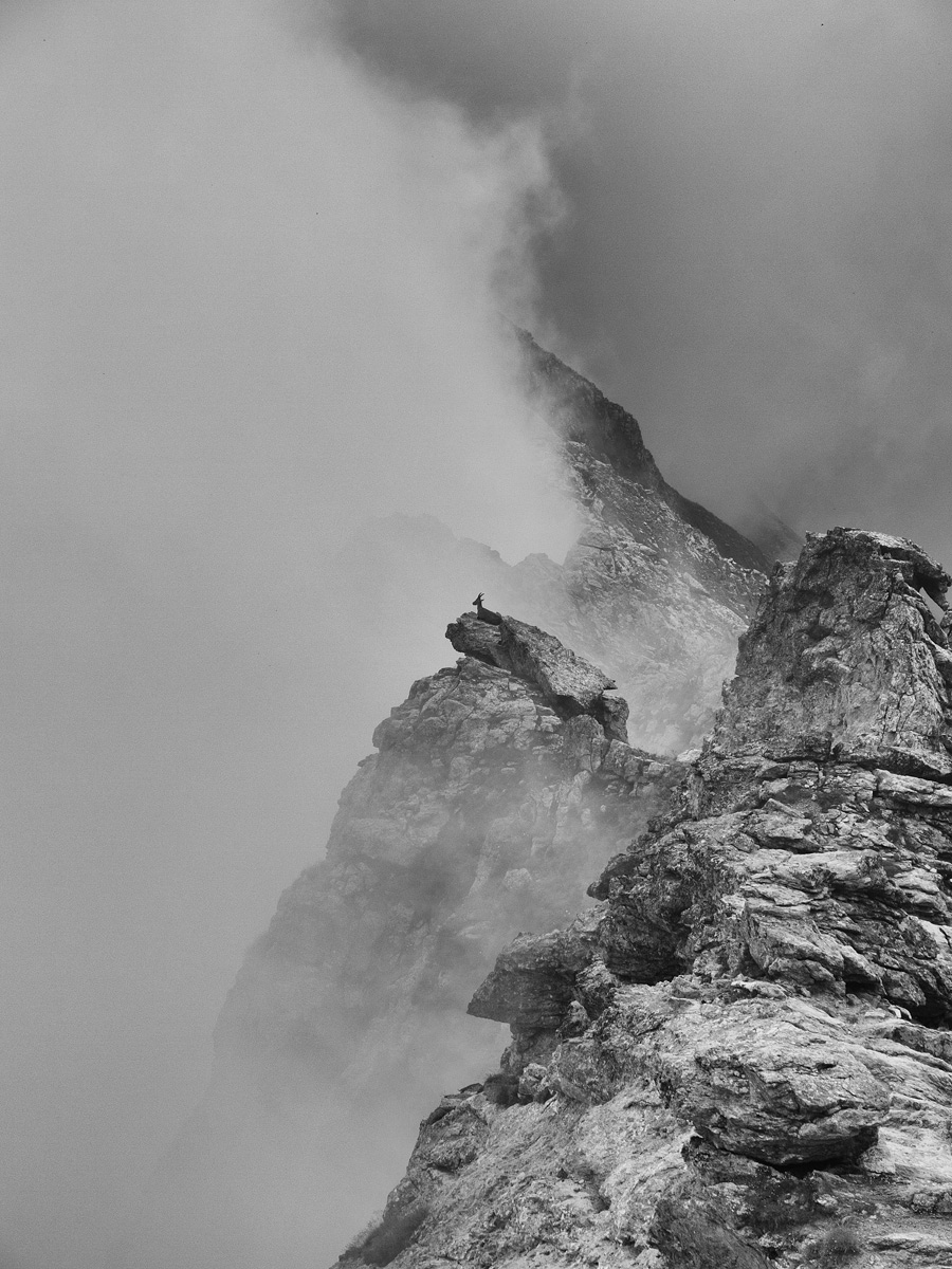 Il padrone delle montagne...