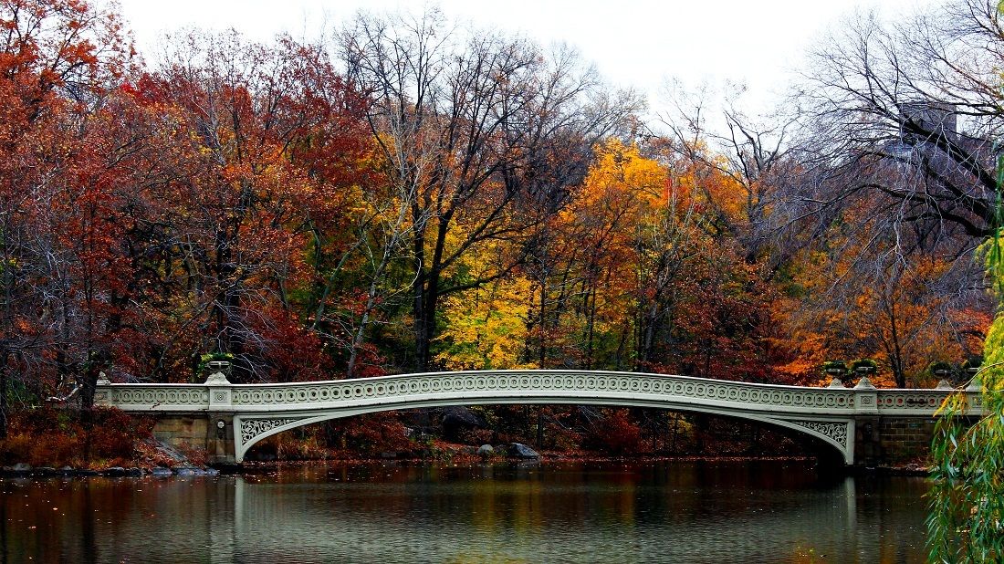 Bow Bridge Central Park