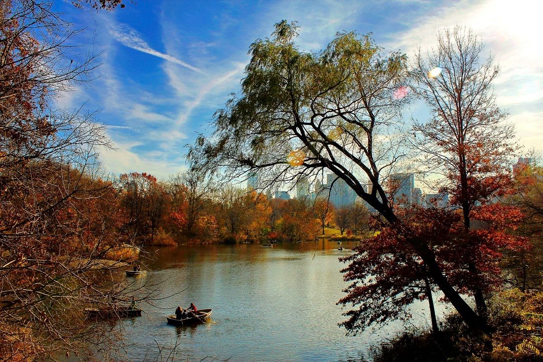 The lake .. Central park