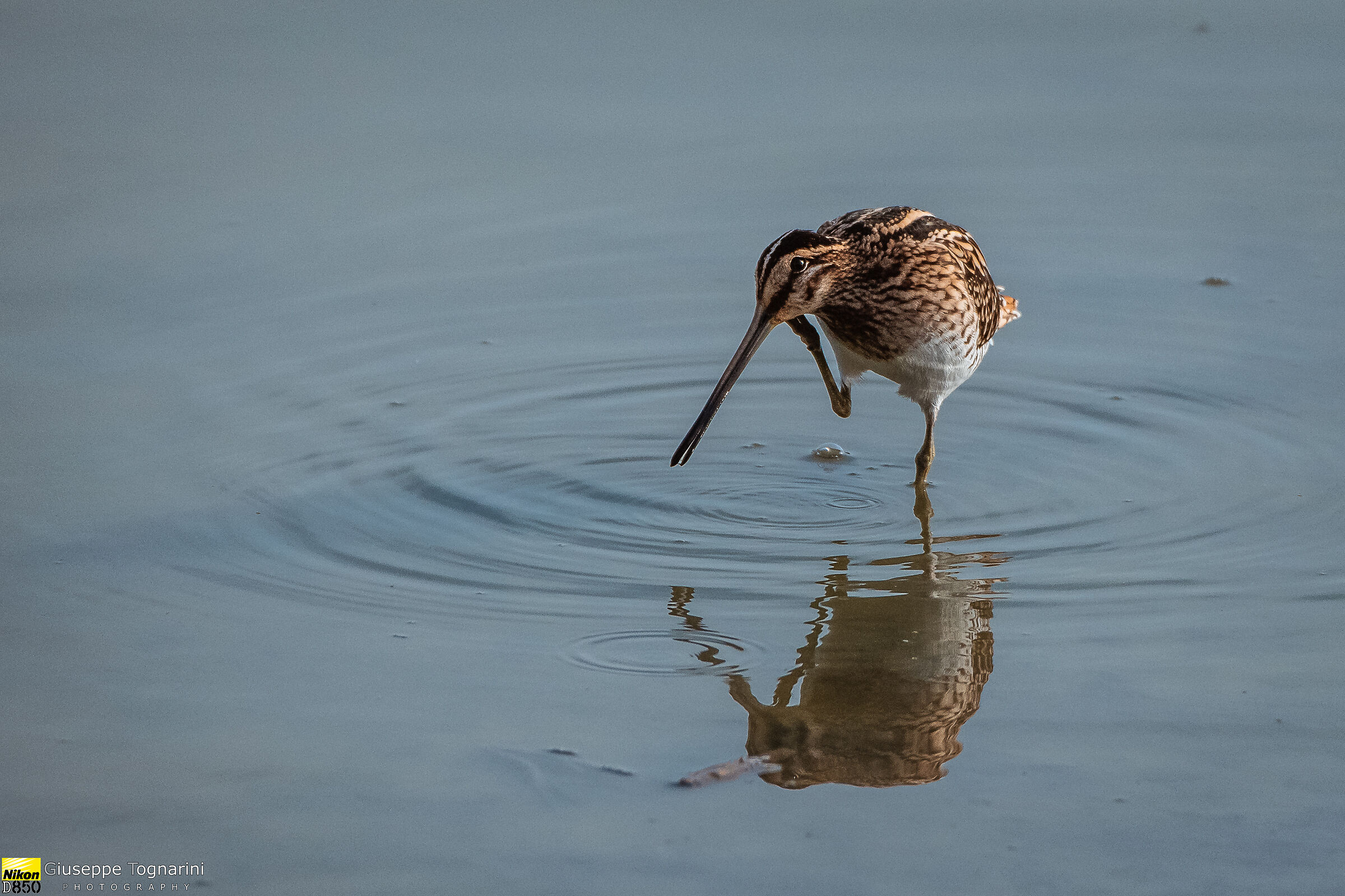Pronto....mi senti???