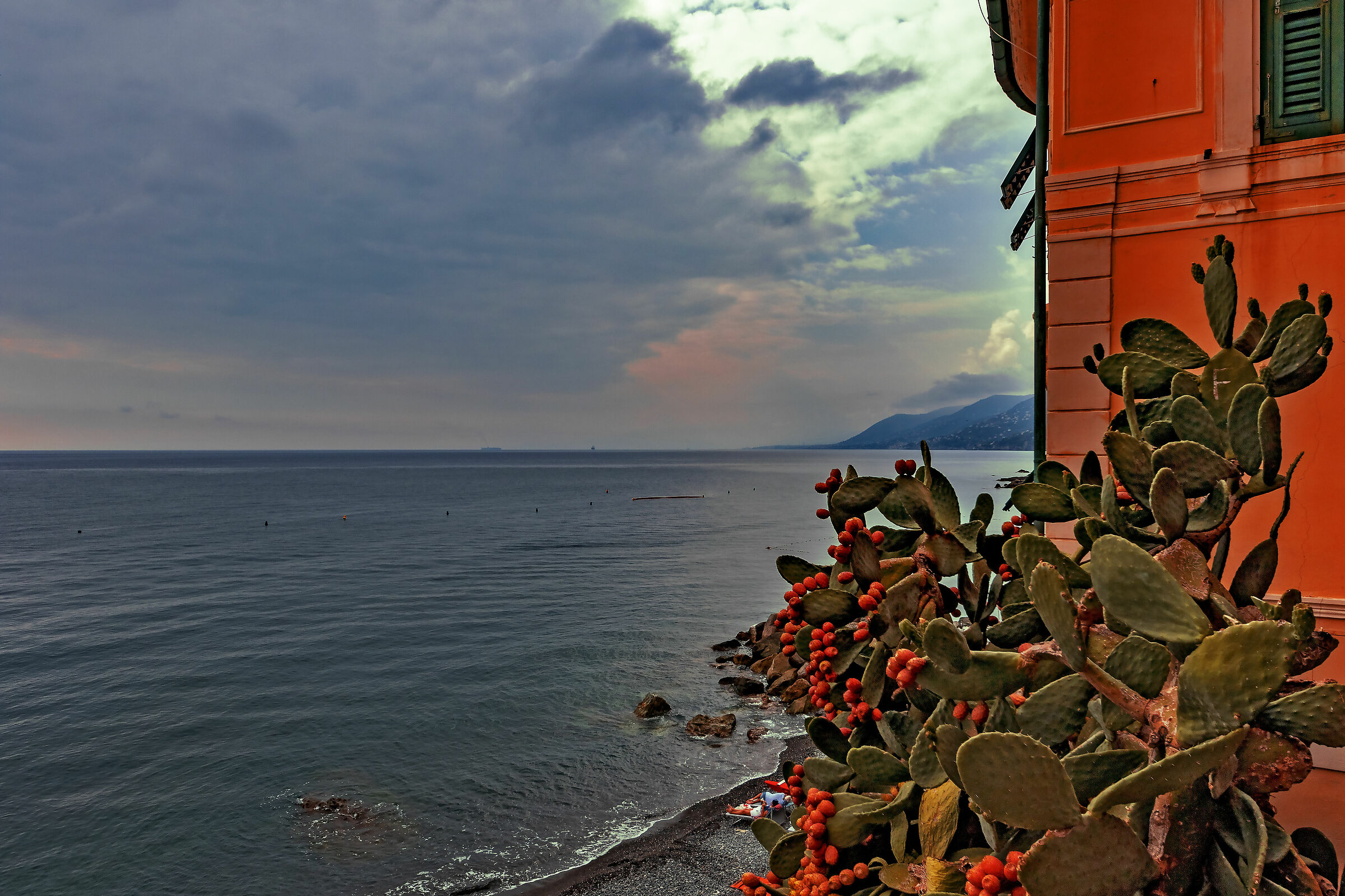 Greetings from Camogli