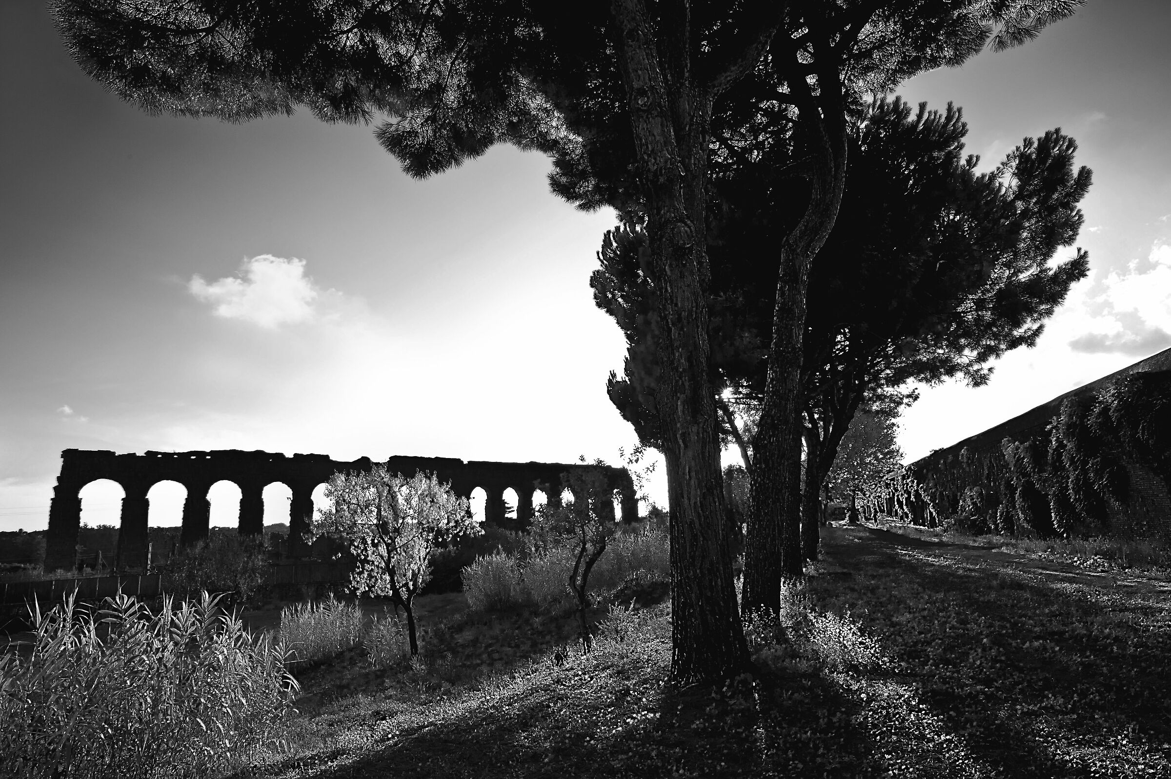 Sun day without colors