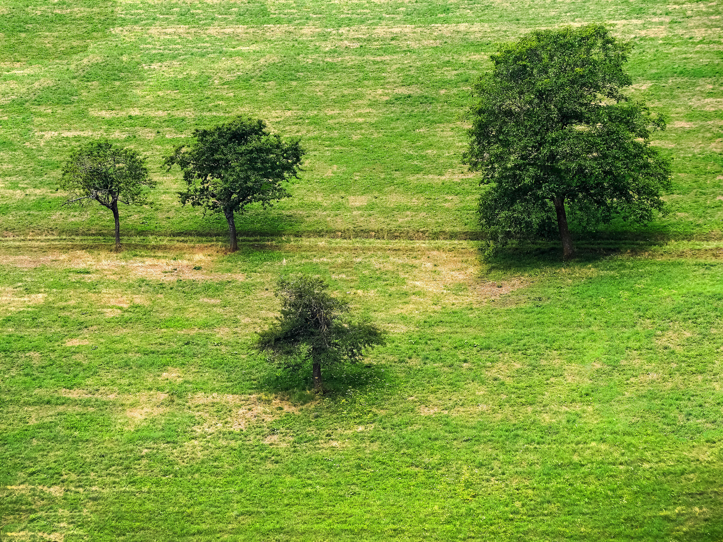 in file per tre con il resto di ...uno