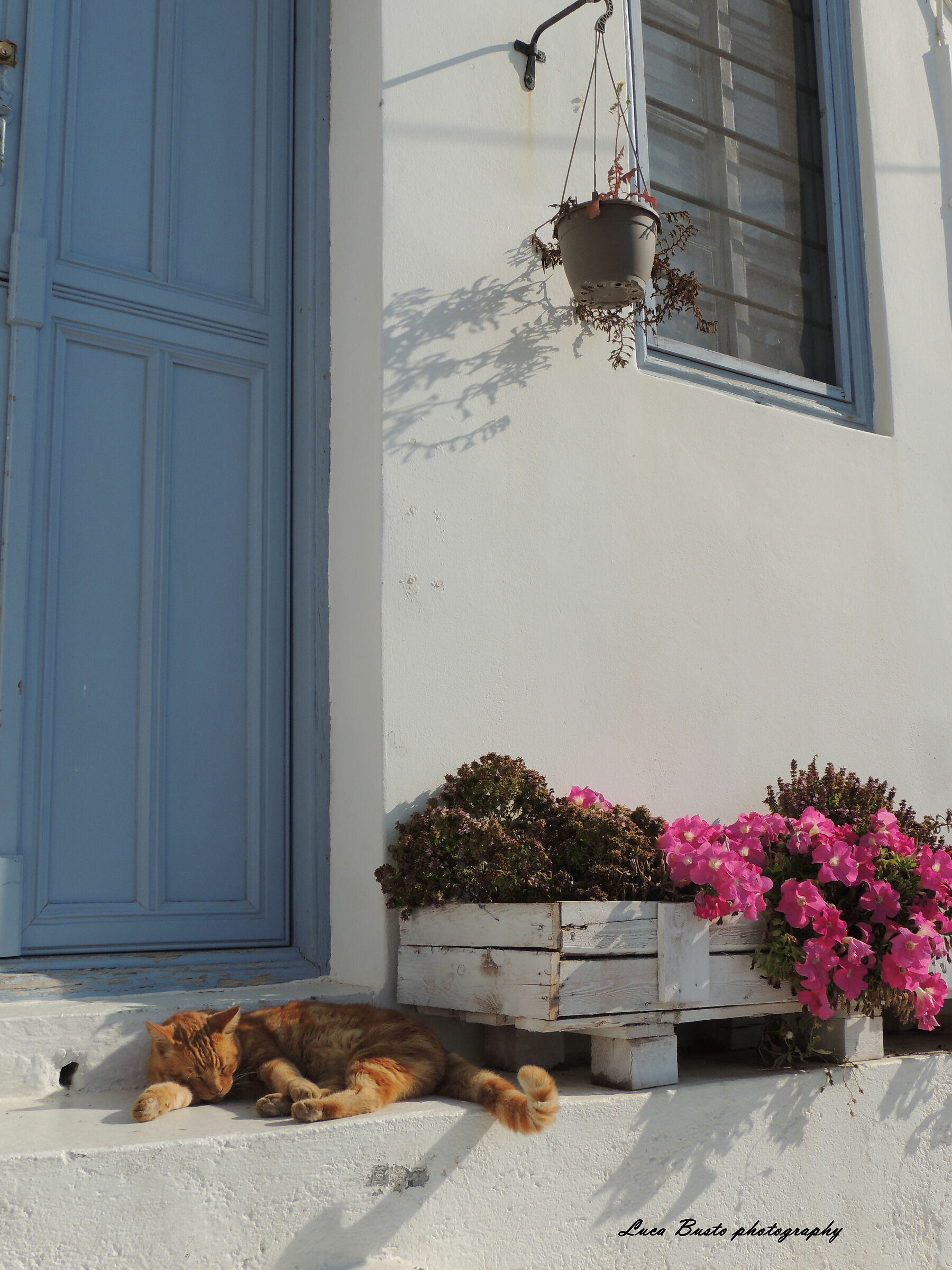 vita dura ..........