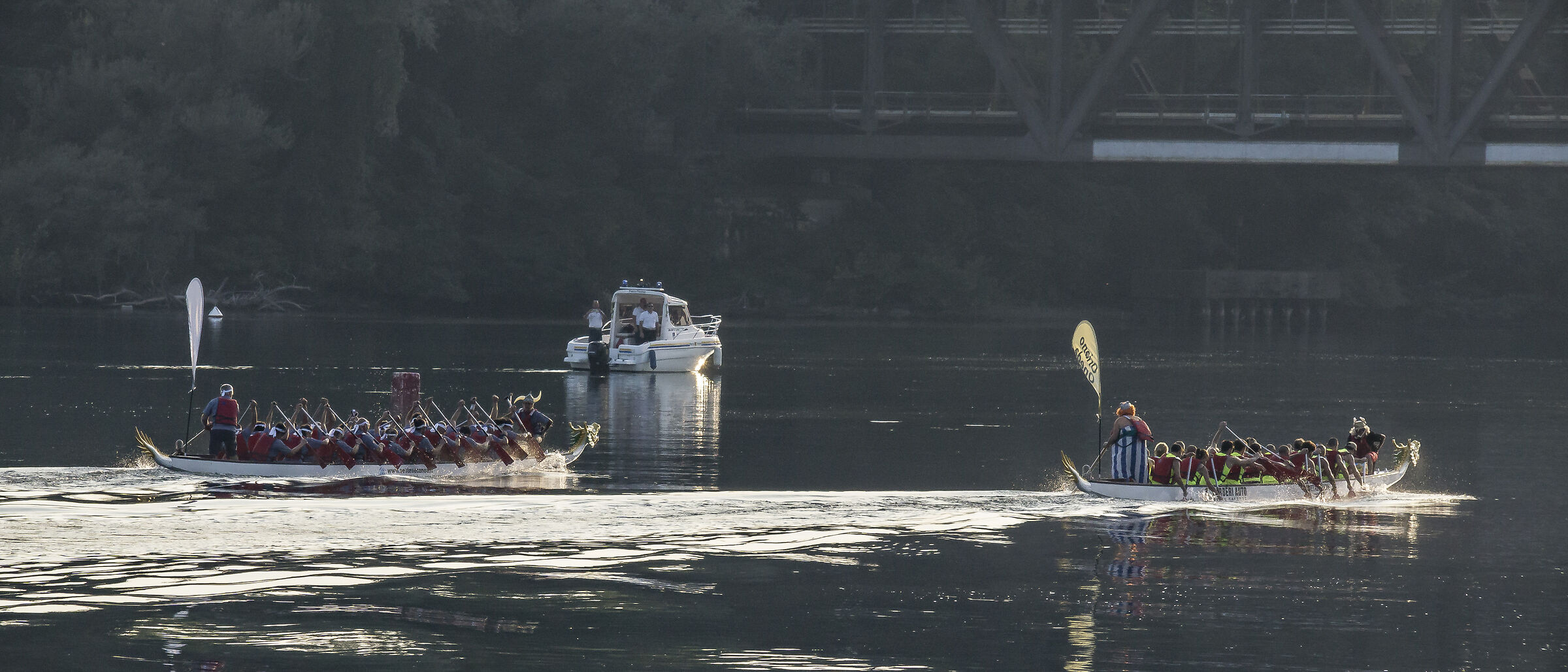 Palio Sestese 2019 - 3