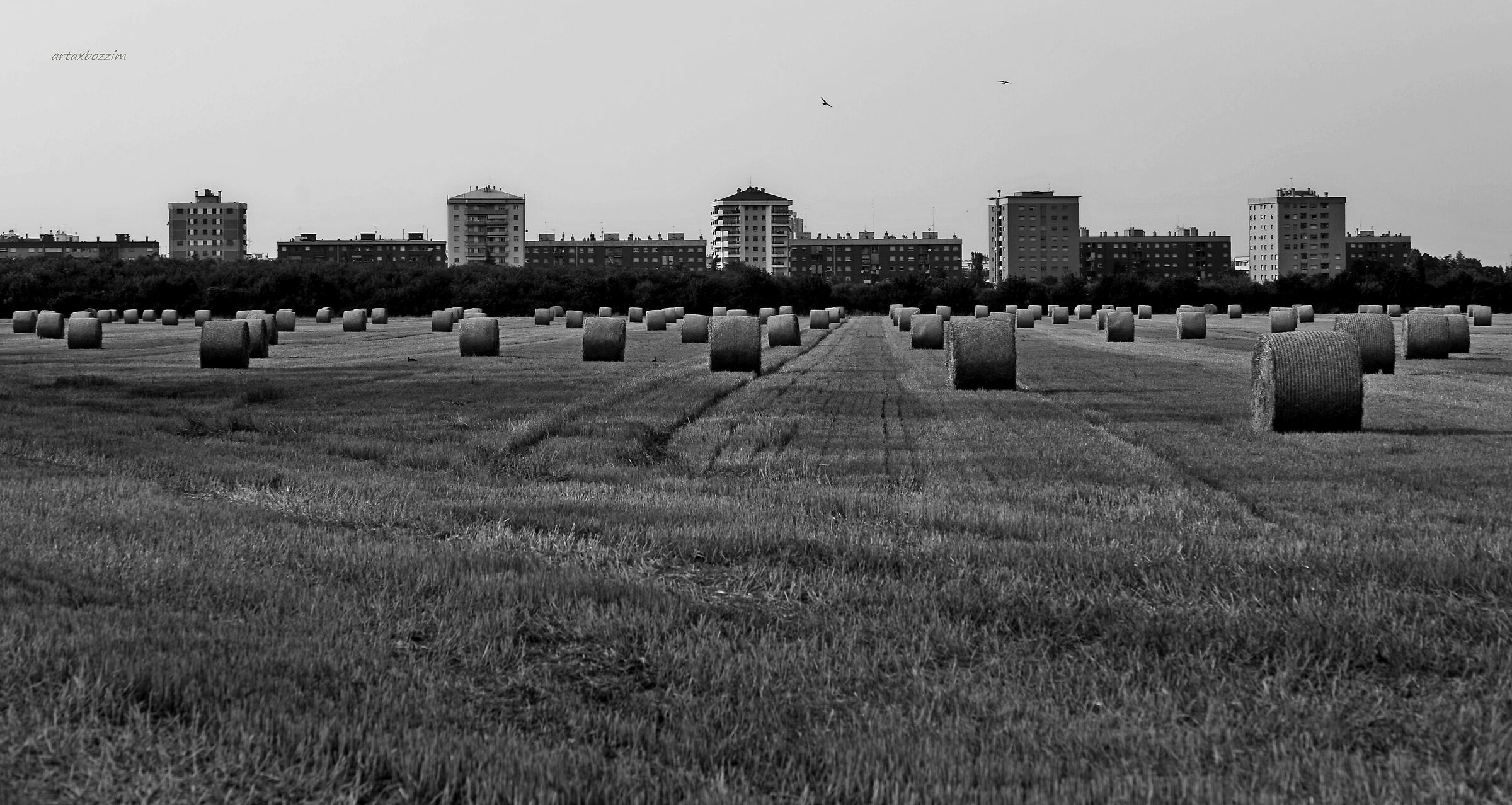 La città che avanza, sul fare della sera,a Settembre