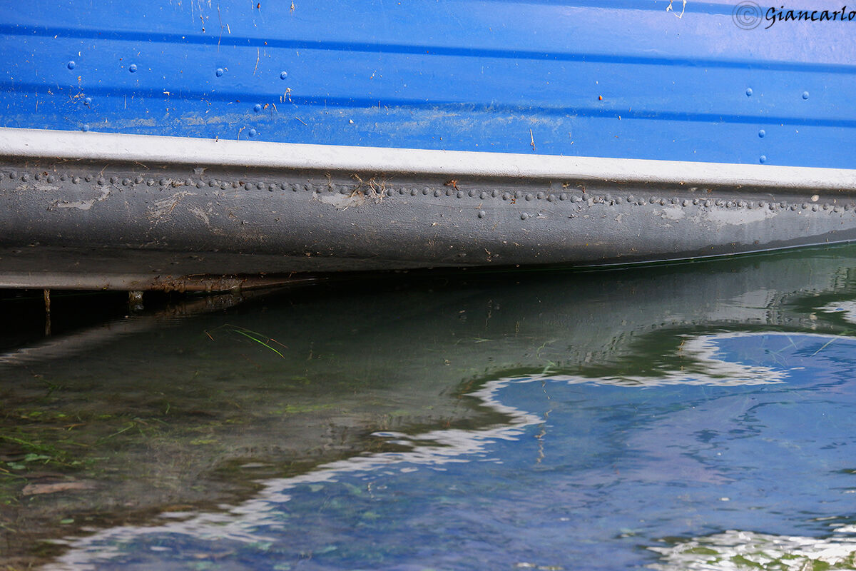 il blu si fonde nelle acque dell'Adda