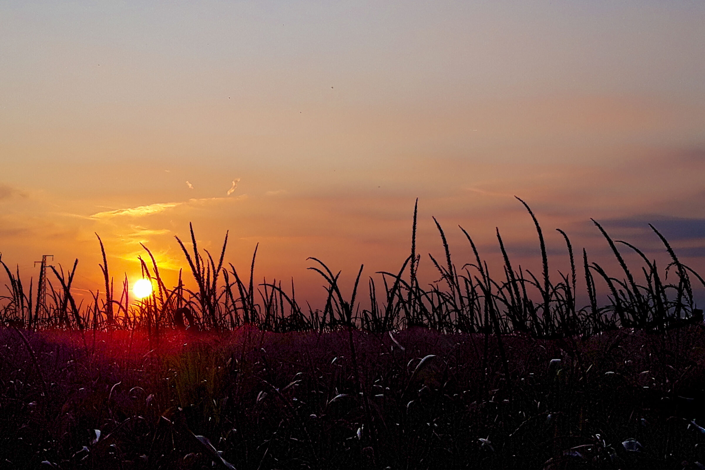 A quiet sunset of the countryside