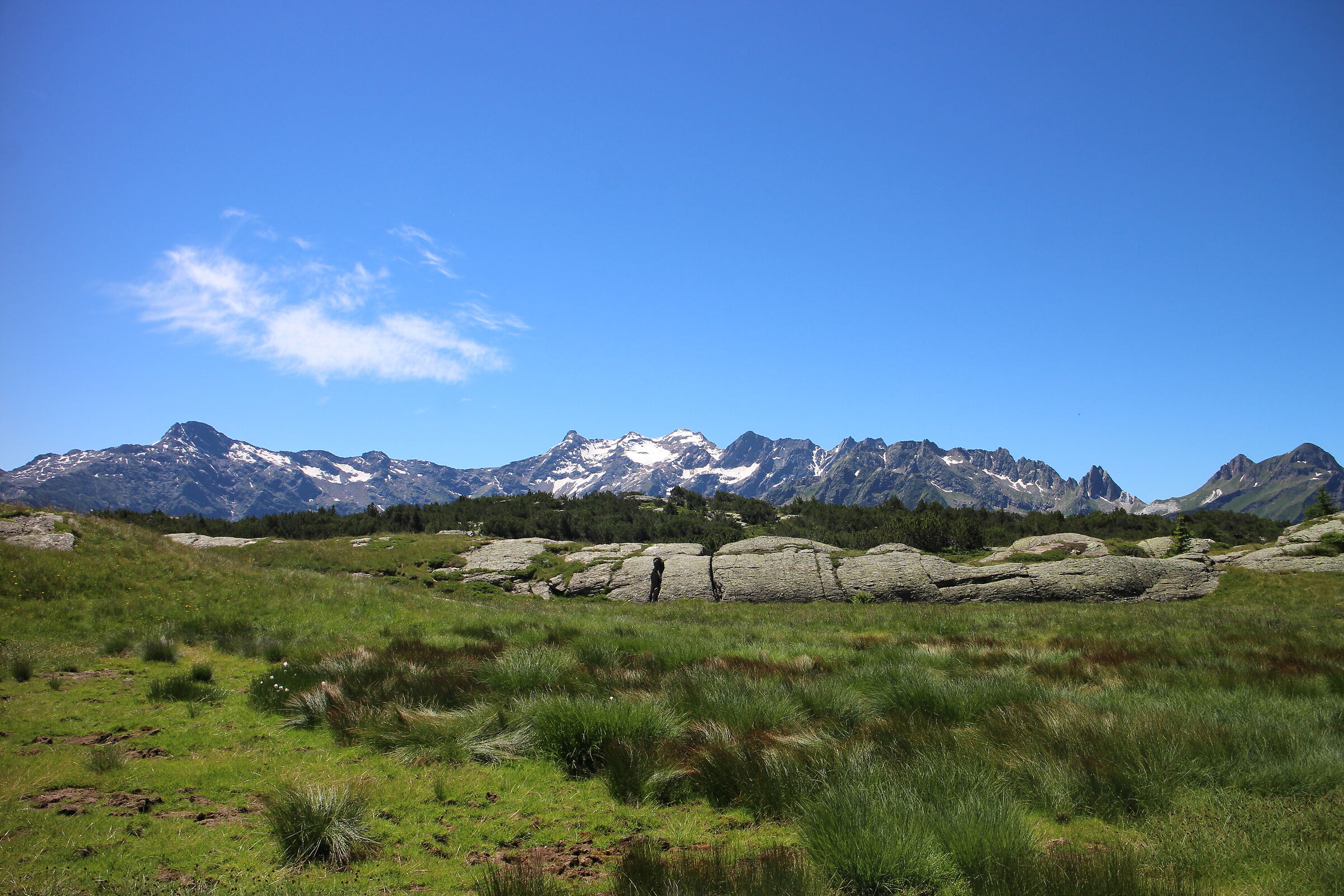 mountain
