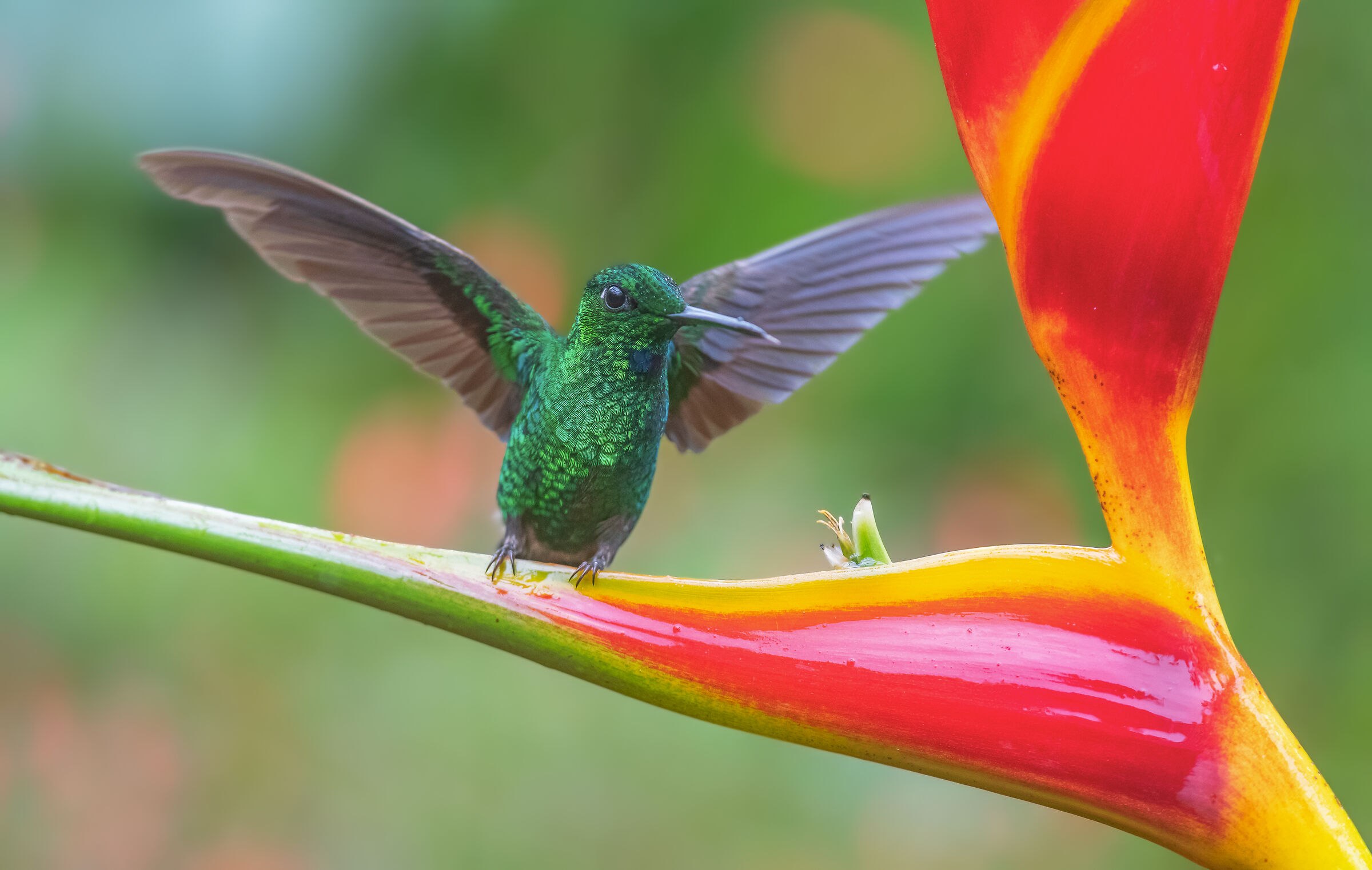 questo è il mio teritorio