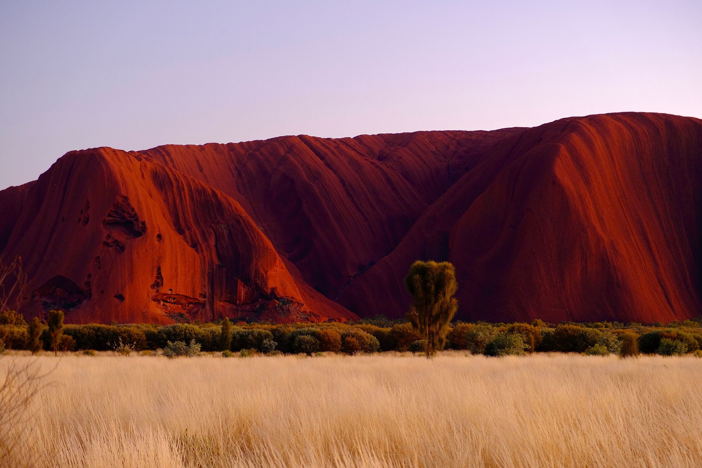 uluru all alba