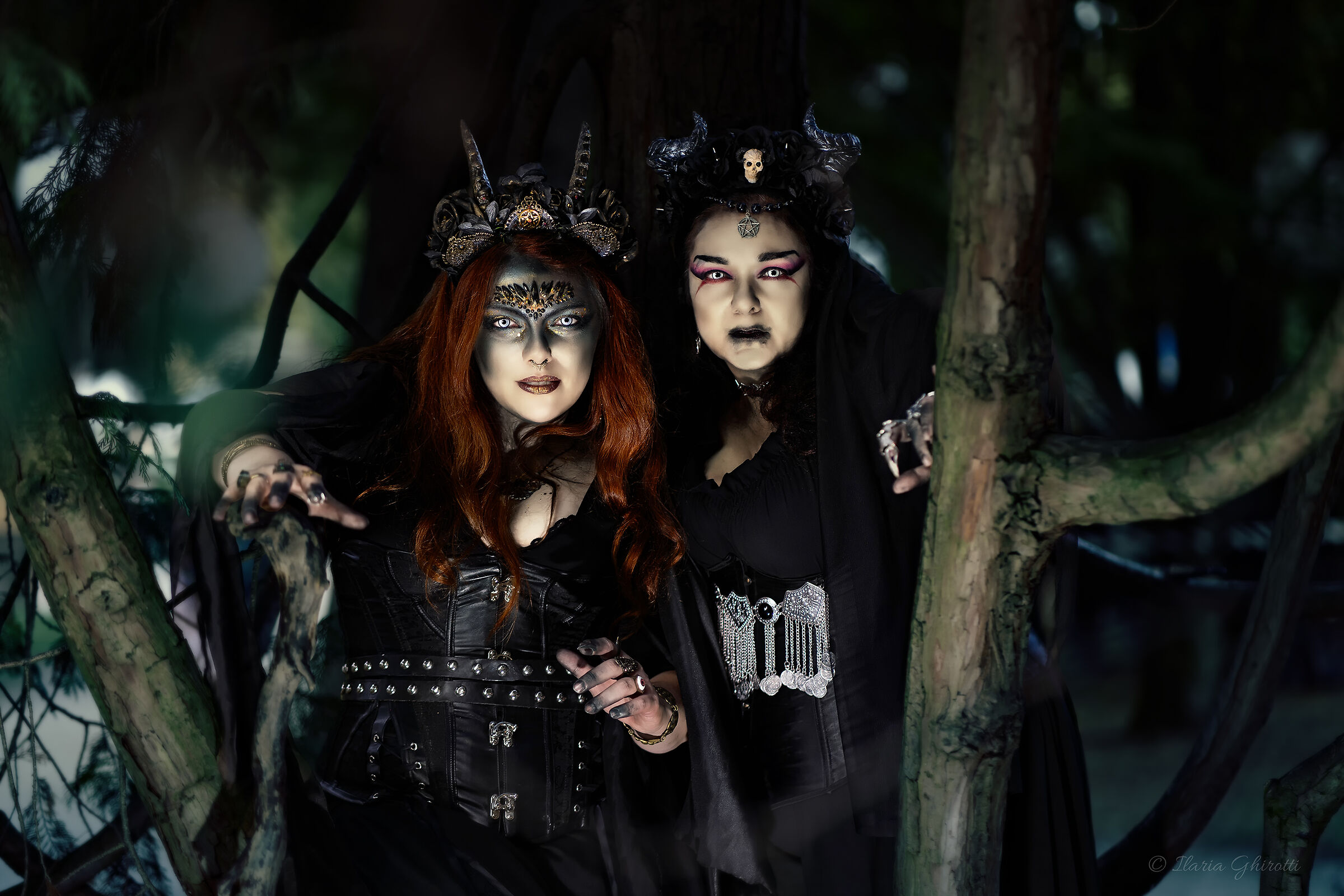 Le streghe sotto l'albero