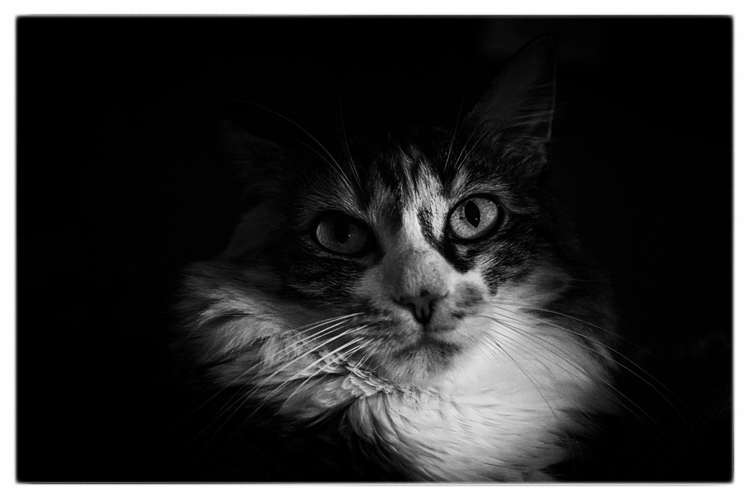 Margot.... my love!!!!!