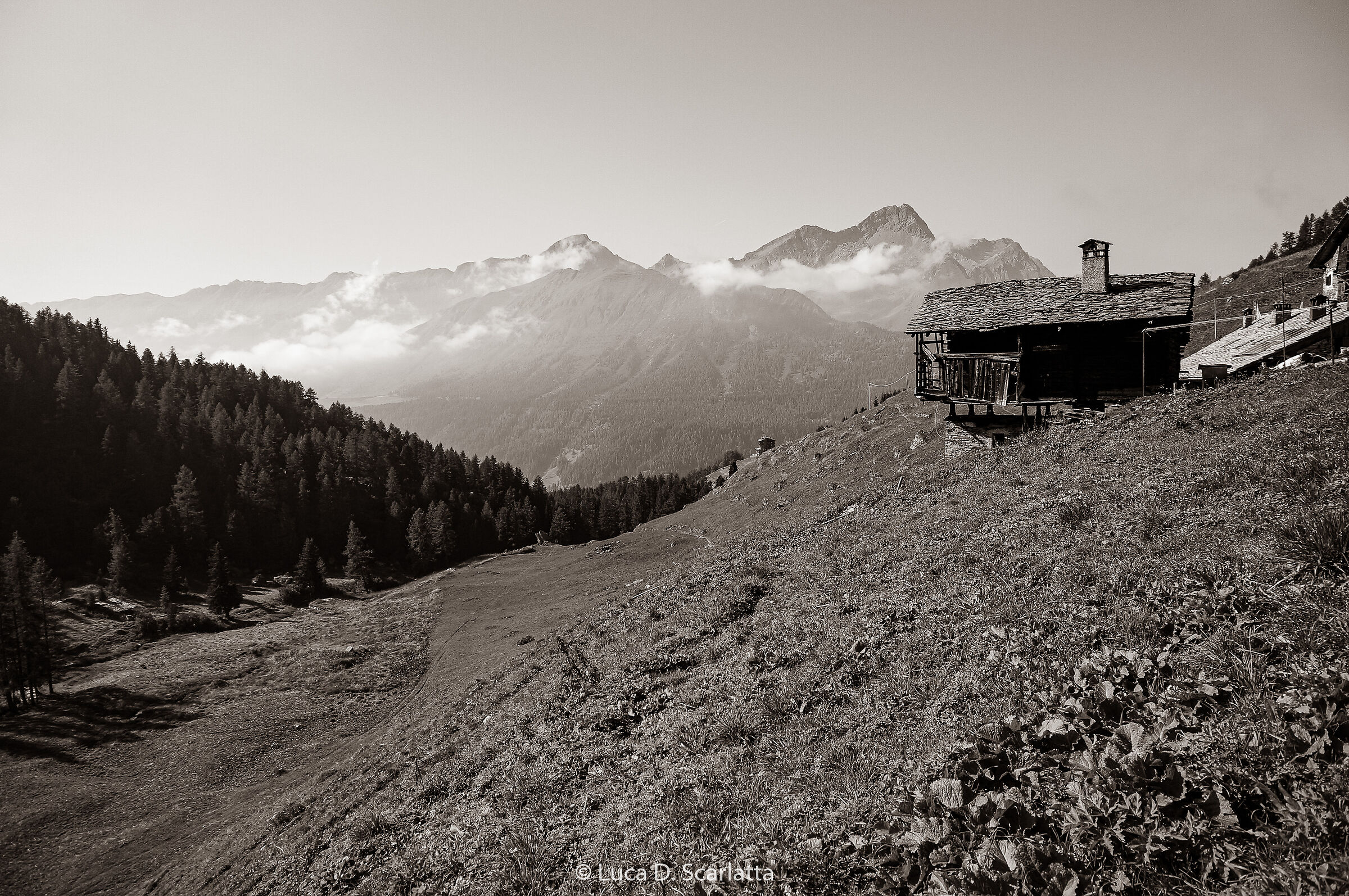 Ayas, Alpe Cuneaz 2019... o 1920?