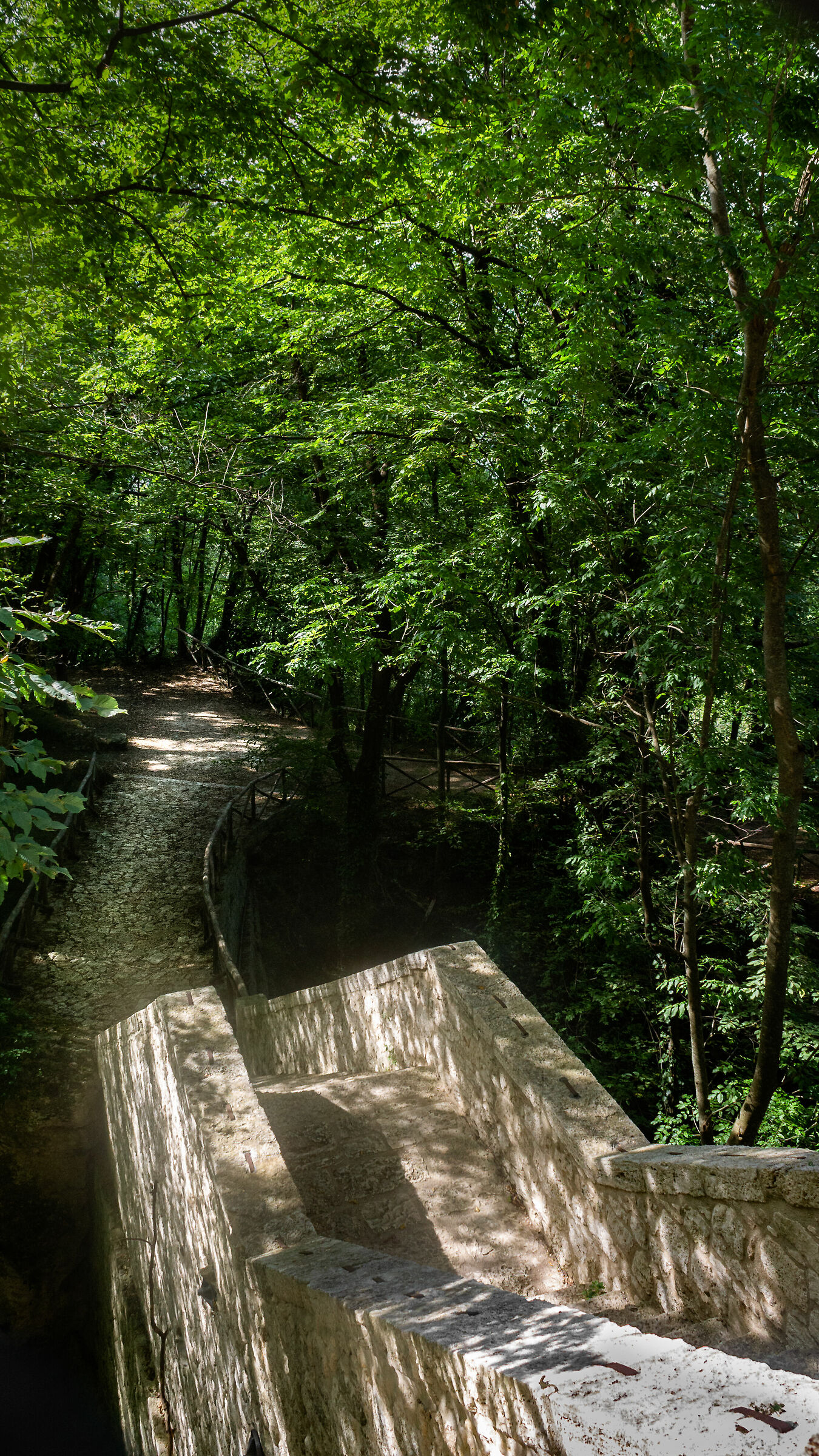 La salita verso l'eremo...