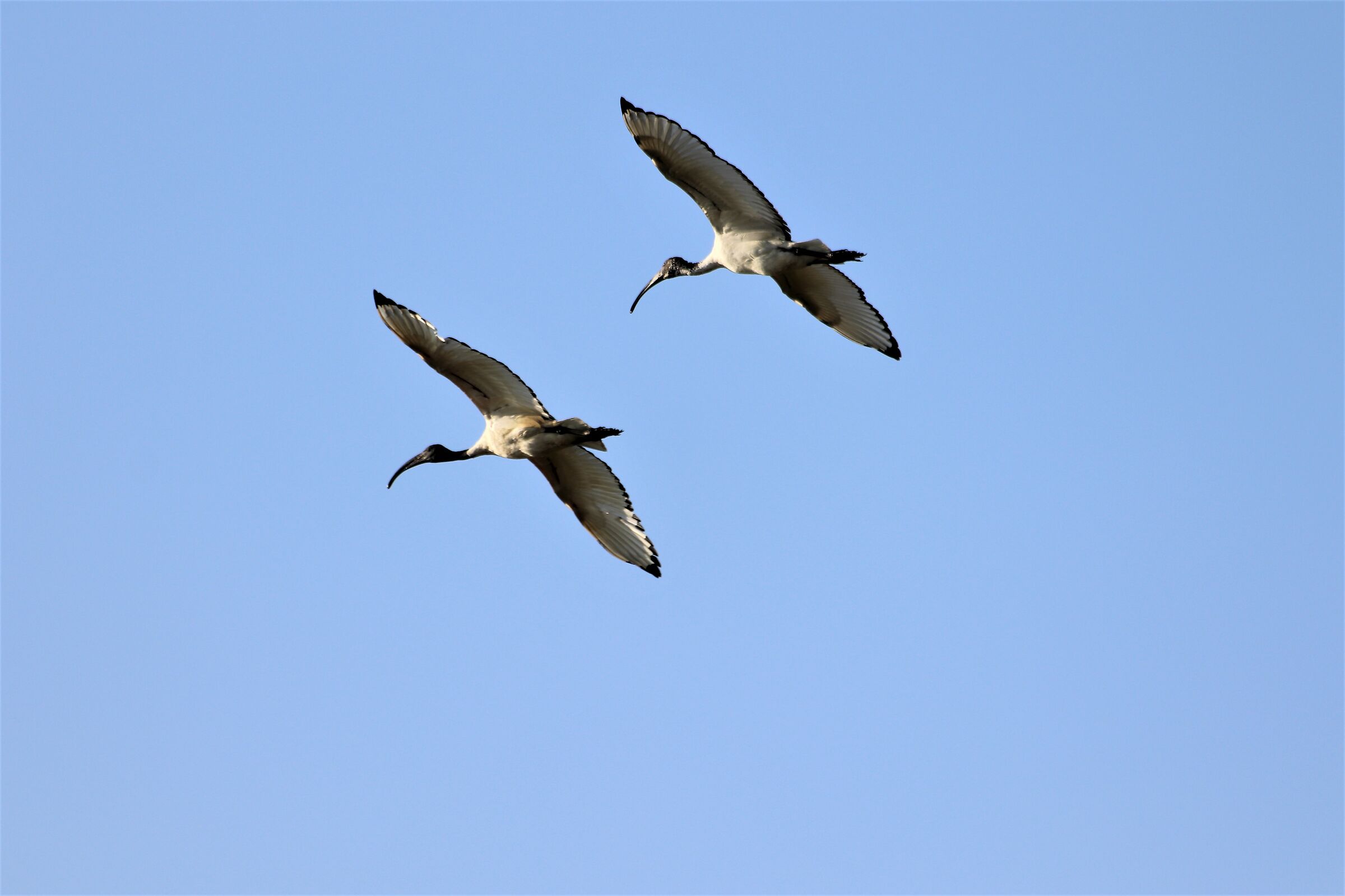 watch out for QEI two!!