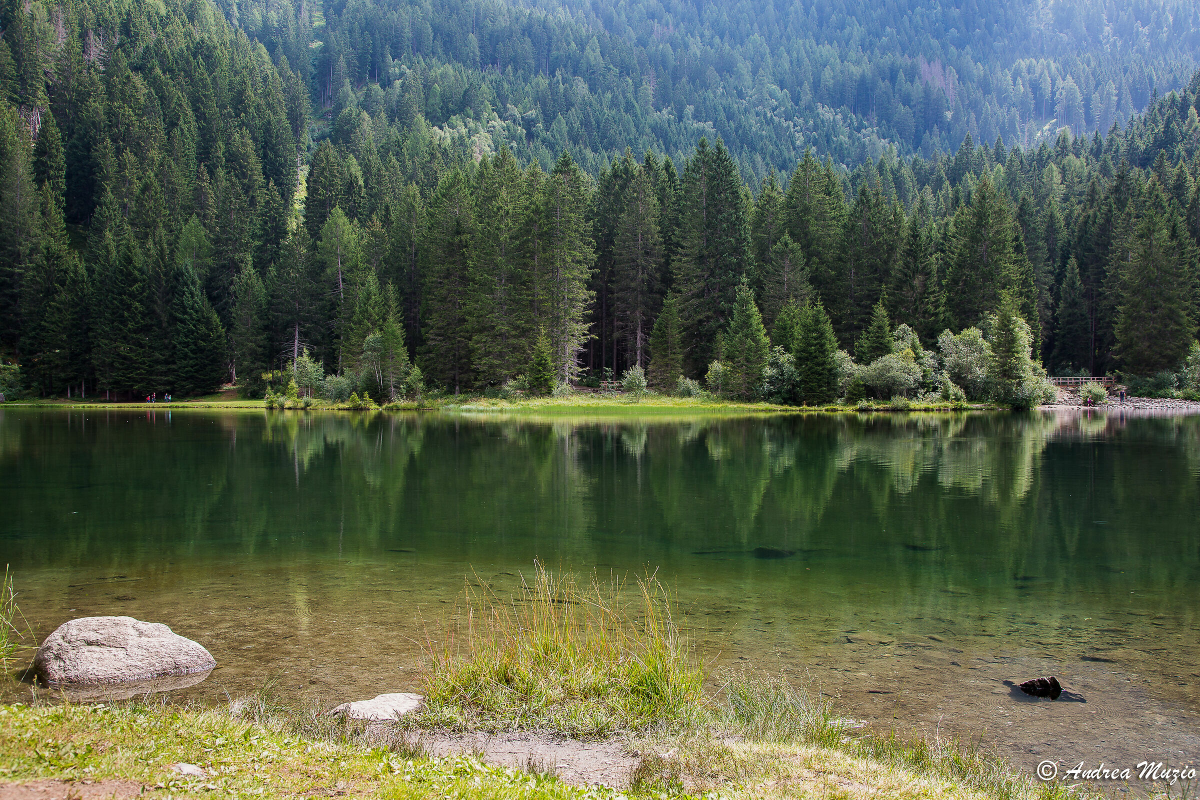 Lake of Caprioli val di Sole Trentino