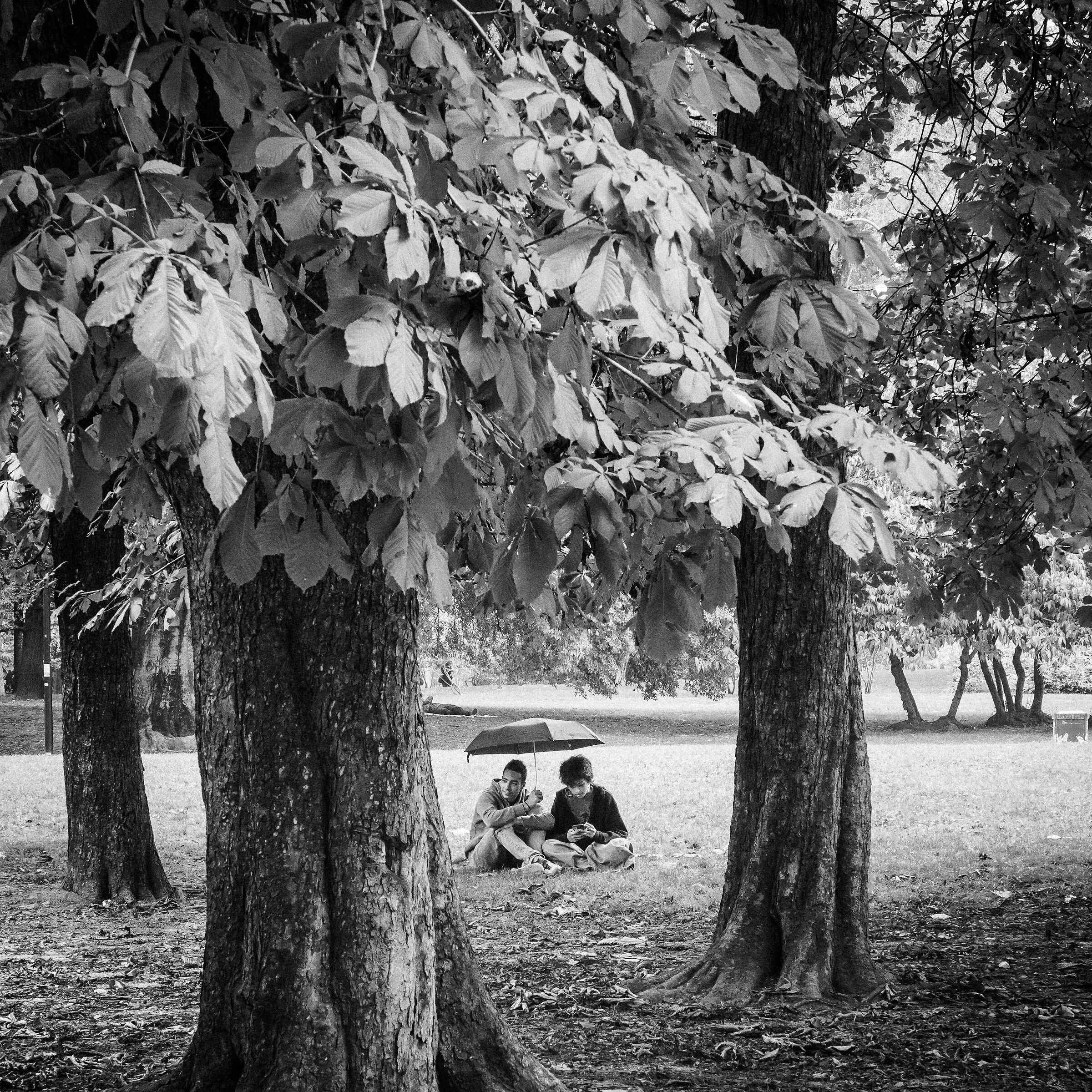 Confidenze distratte