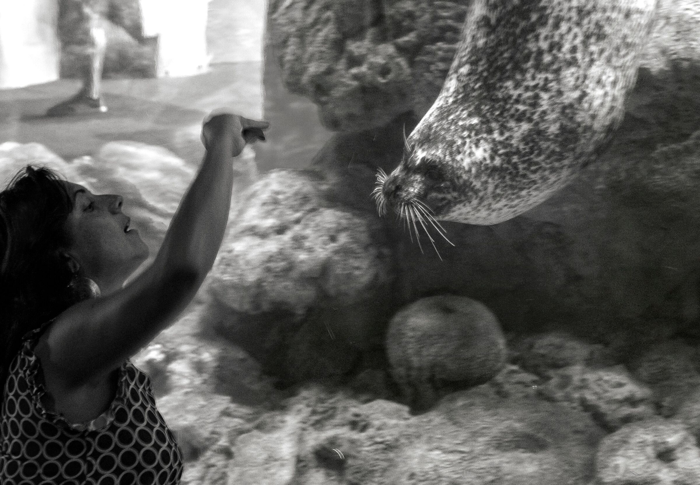 Segni d'aria e segni d'acqua