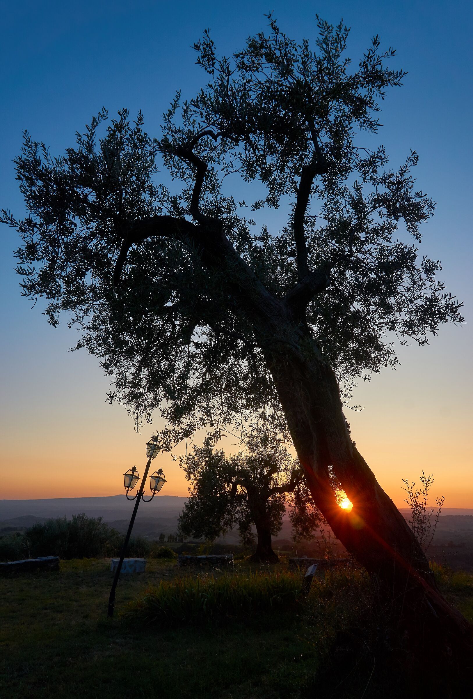 Crooked I crooked you