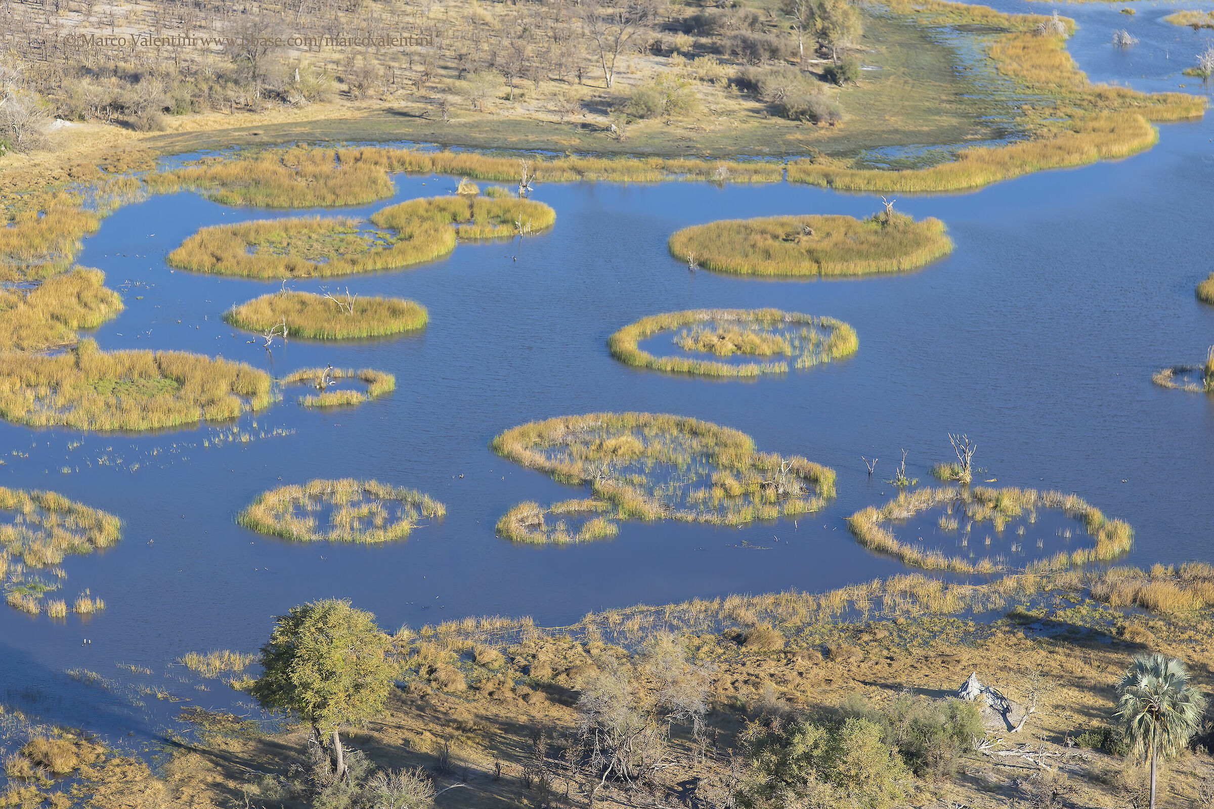 Okavango
