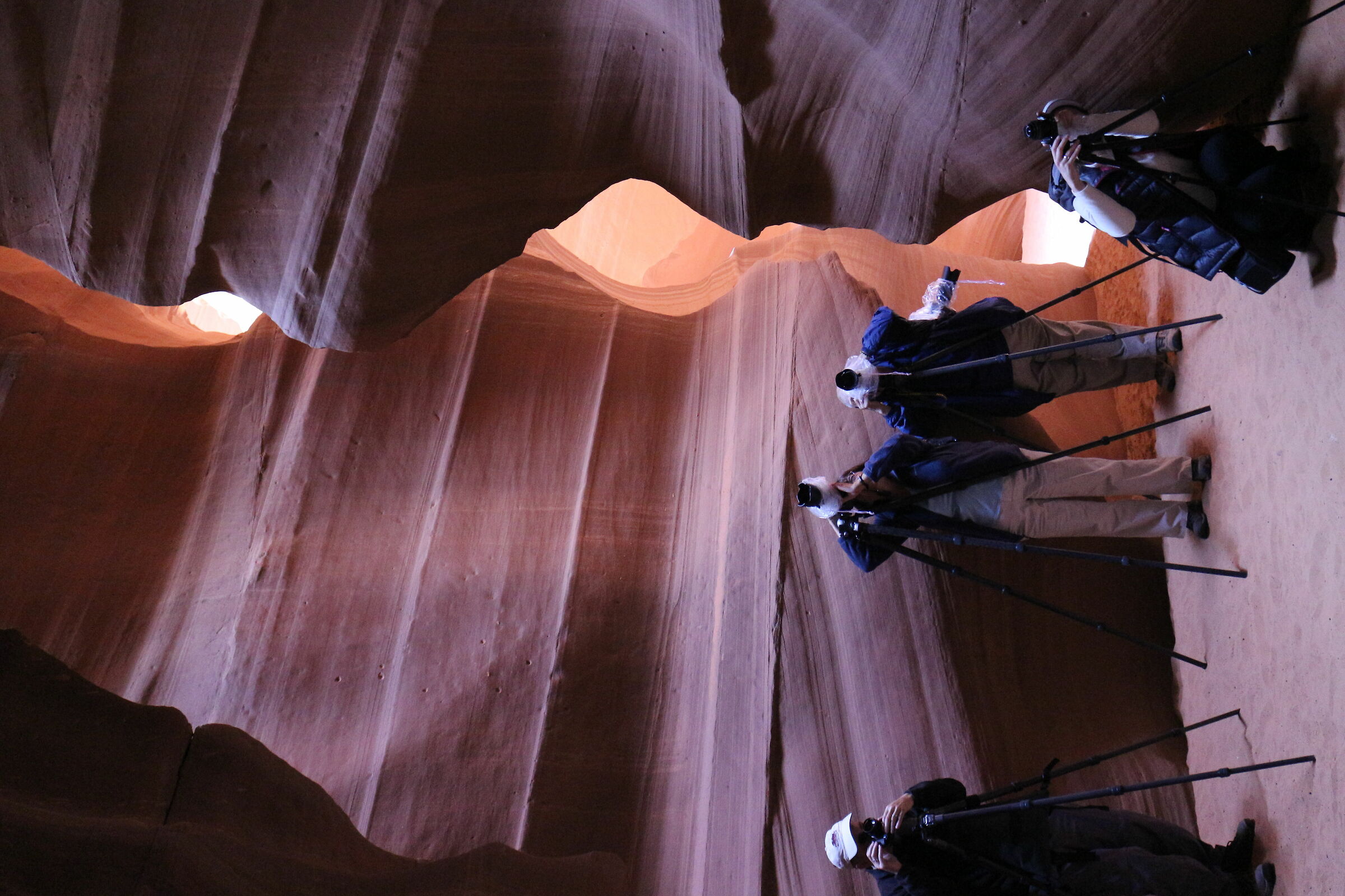 Photographers at work