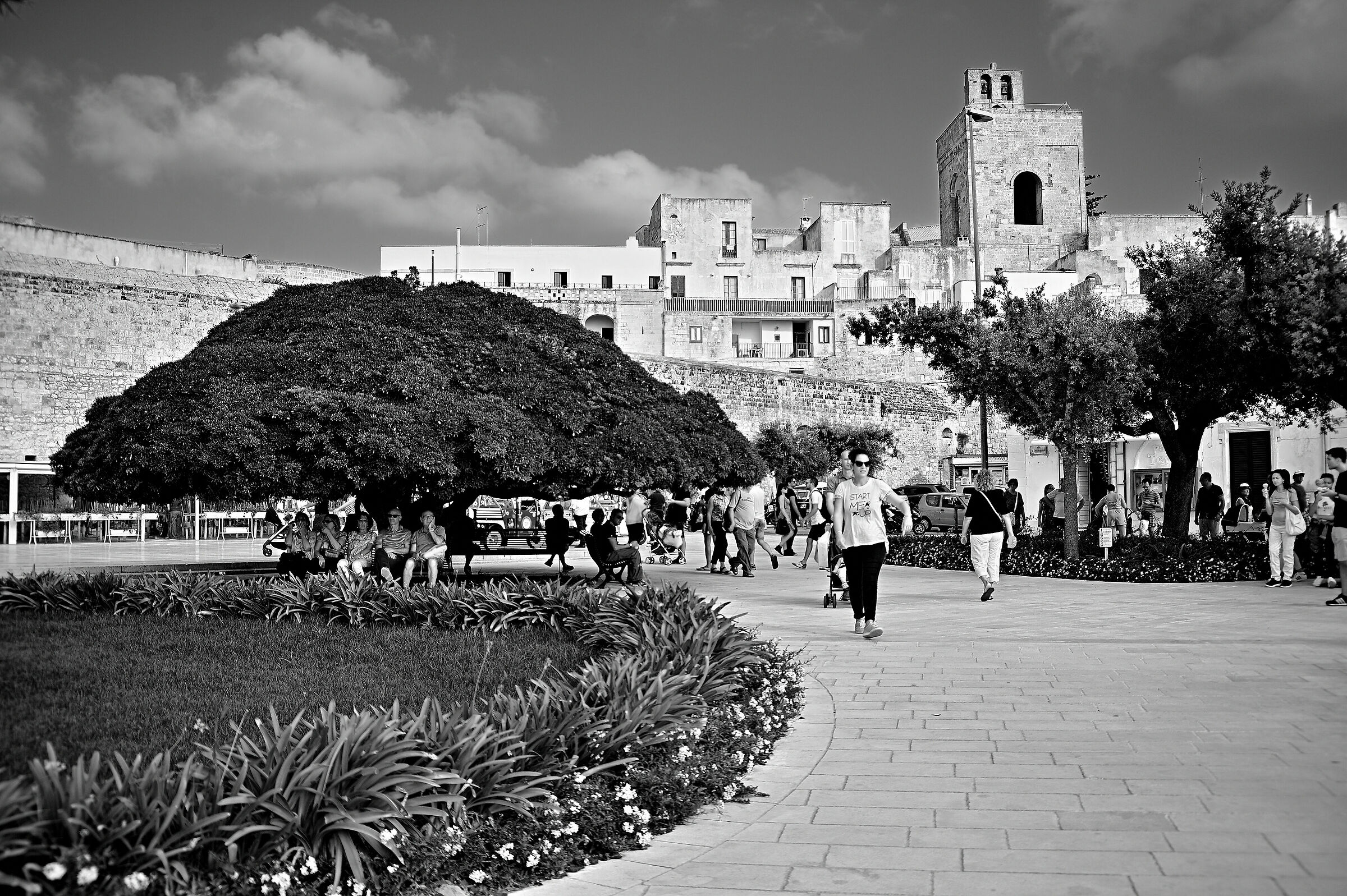 All'ombra delle fresche frasche