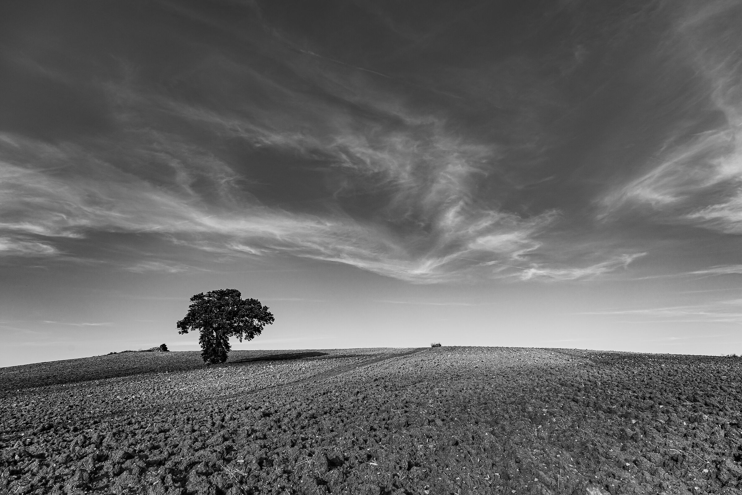 Loneliness - Slitudini