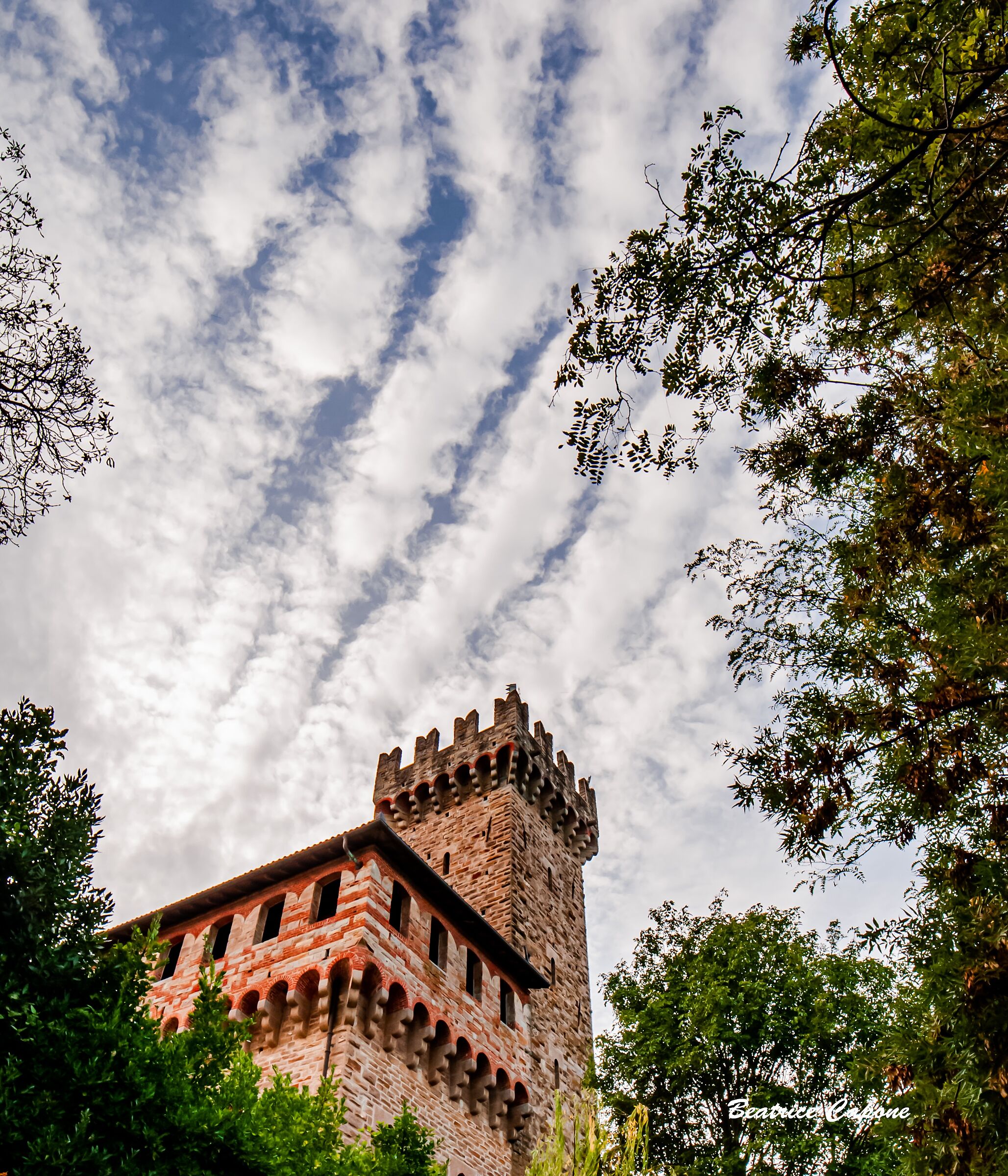 Guardando verso il cielo - Castello di Trisobbio (Al)