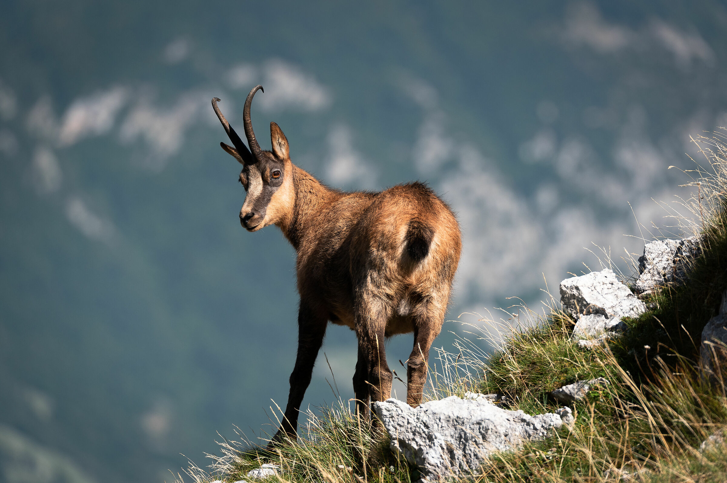 3 ore di salita per incrociare il tuo sguardo..