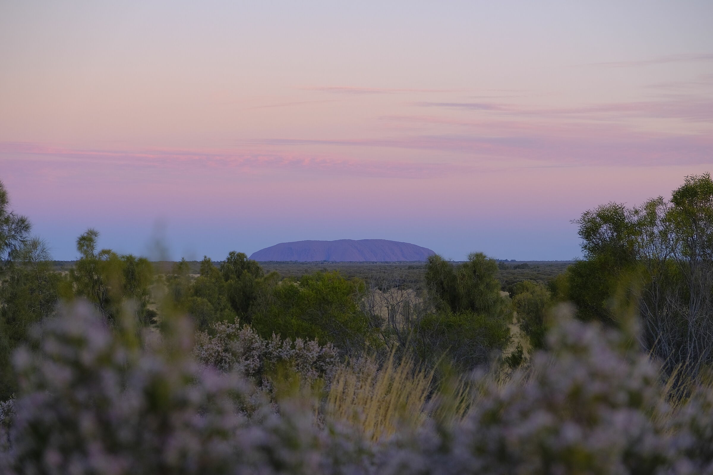 tramonto uluru