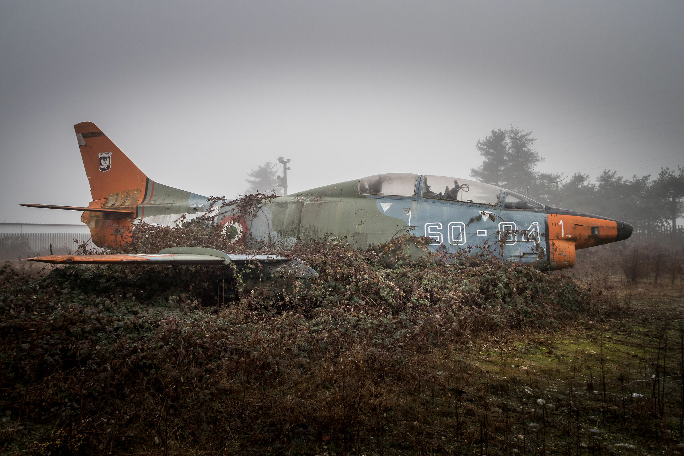 Unexpected things emerged from the fog.