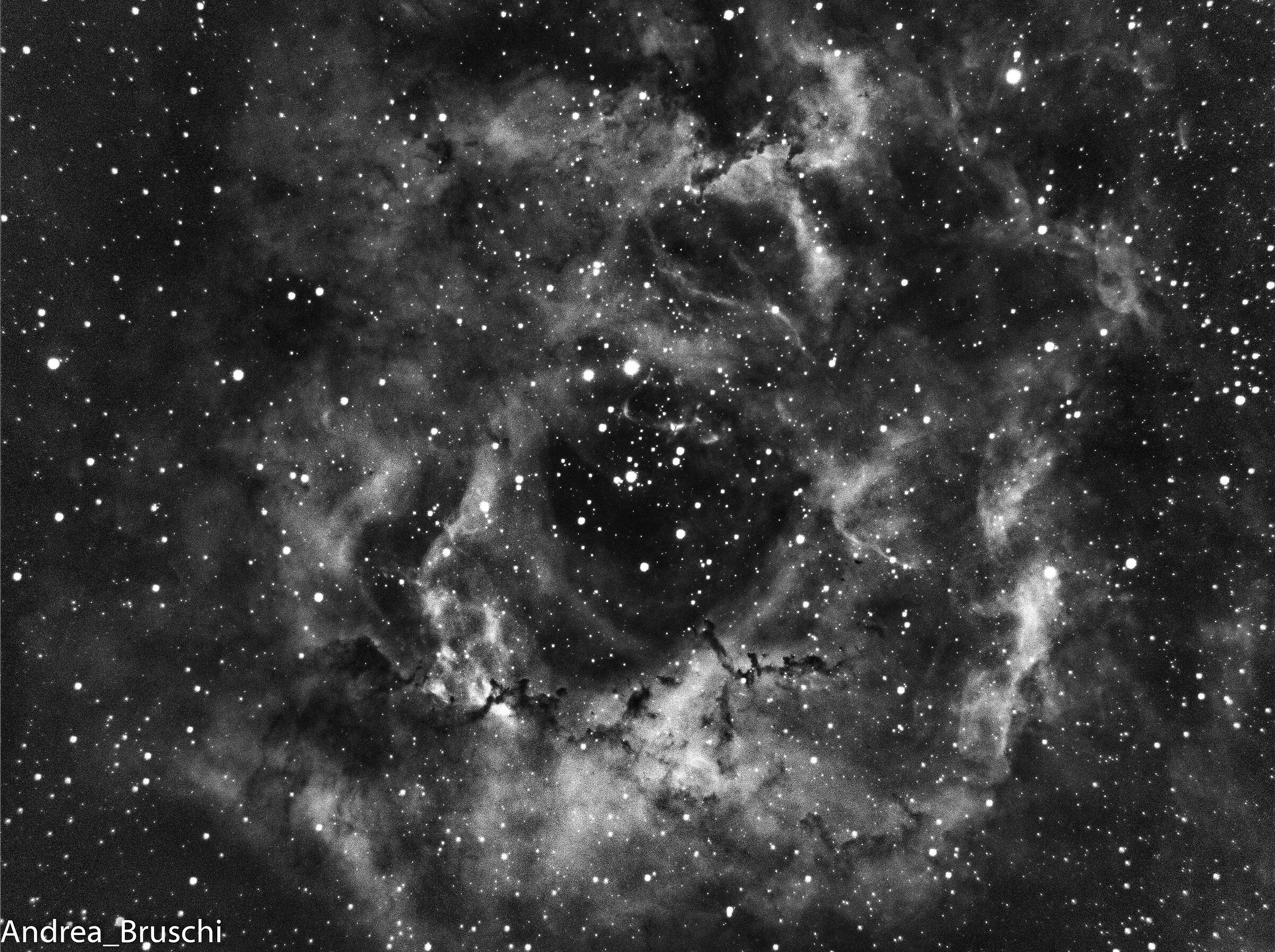 Rosette Nebula Halpha