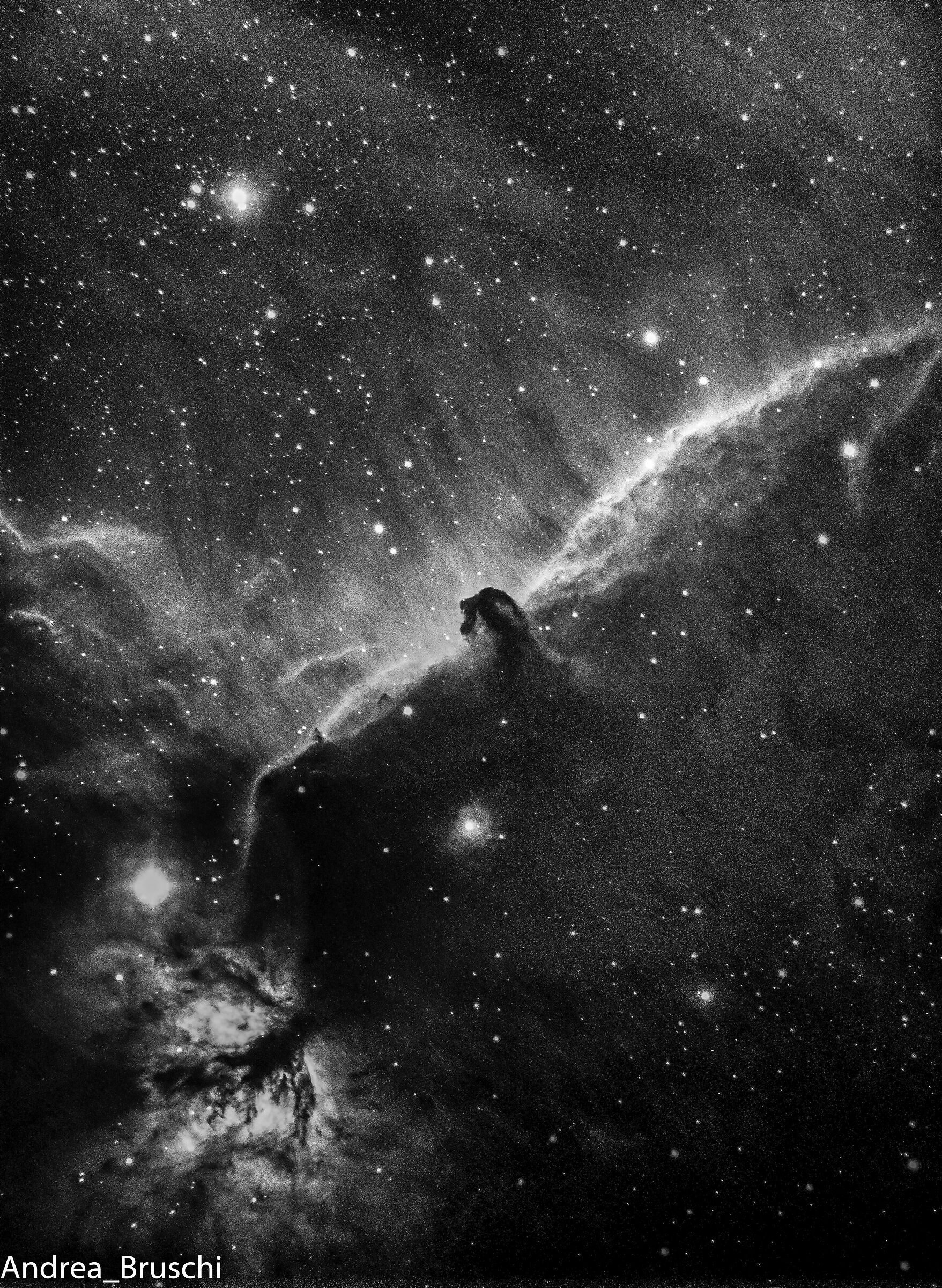 Head Horse Nebula